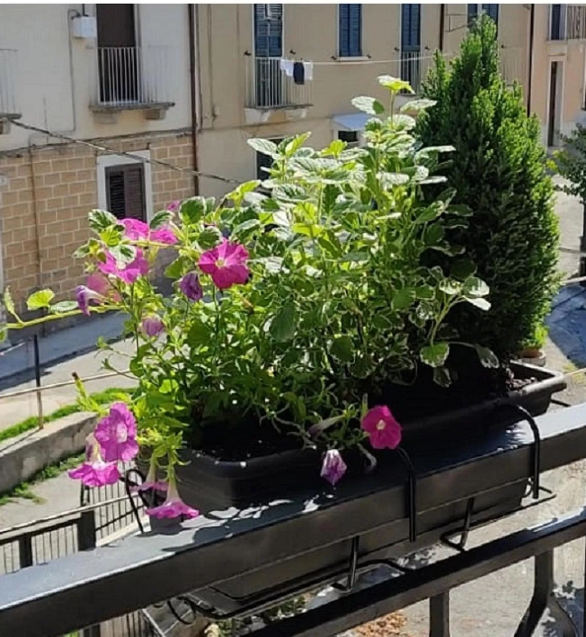 Day in B&B Residence Armonia Sulmona