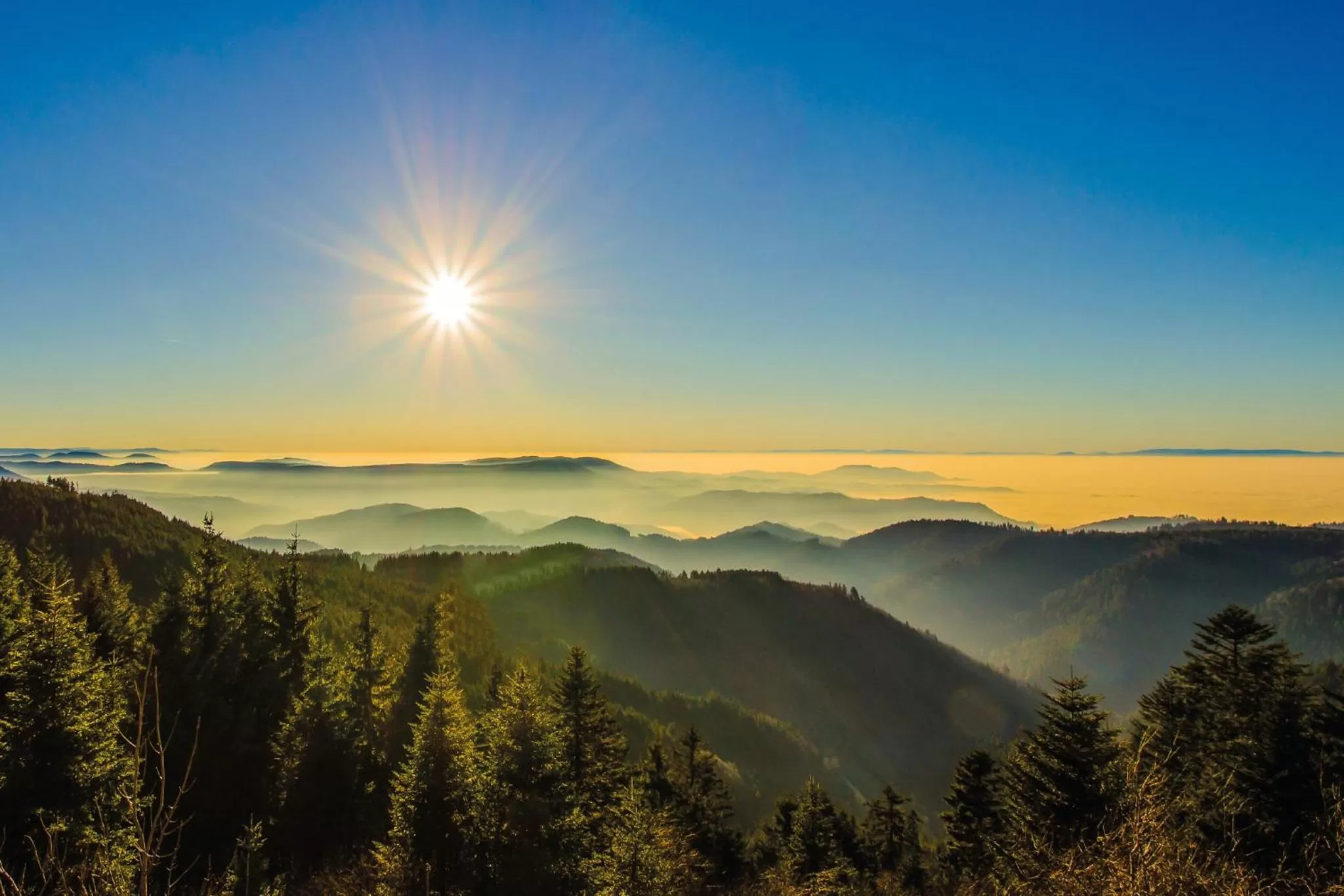 Natural landscape in Kaisers Tanne - Premium Alles Inklusive Hotel