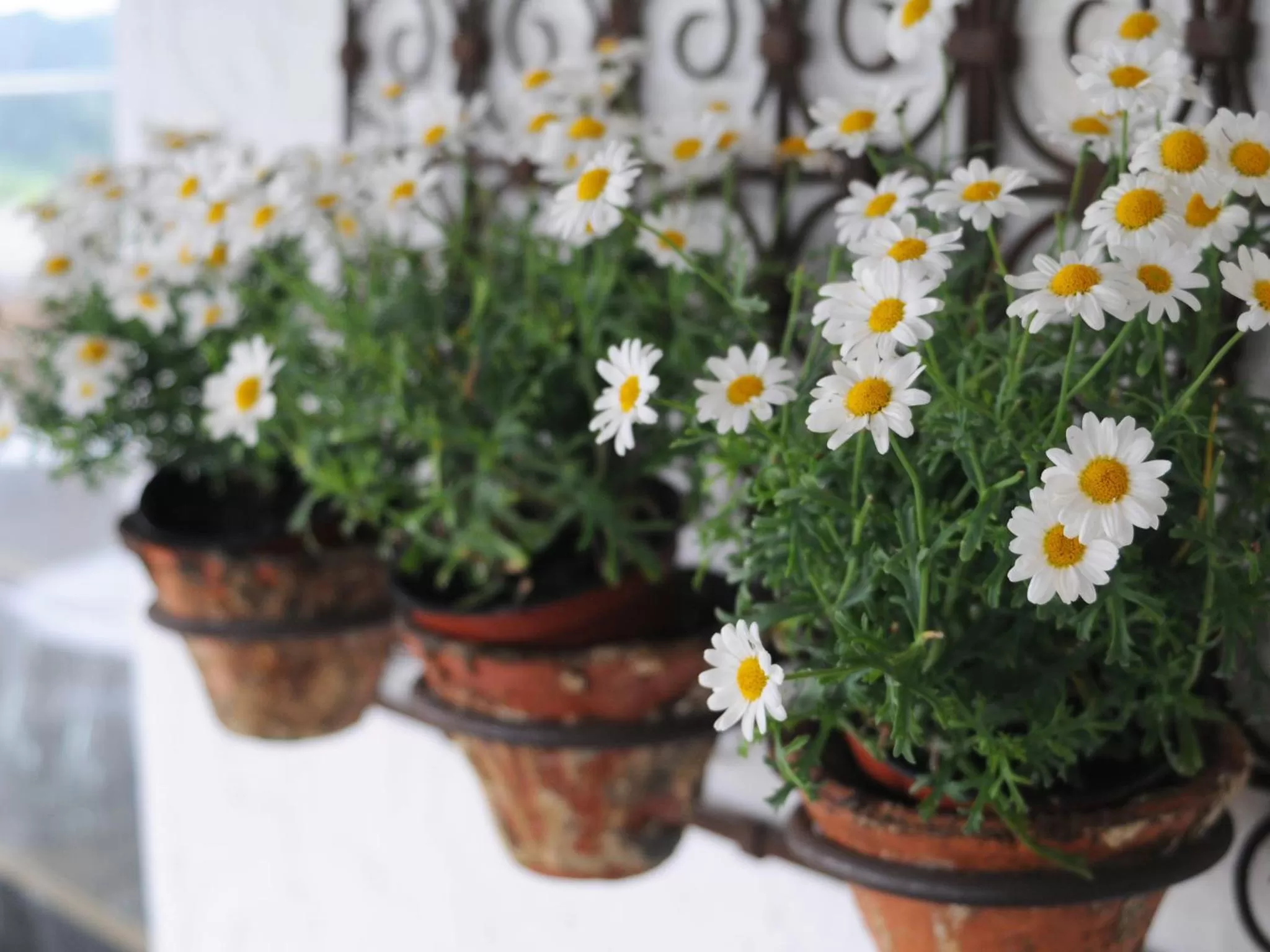 Decorative detail in Mittelburg Wellnesshotel