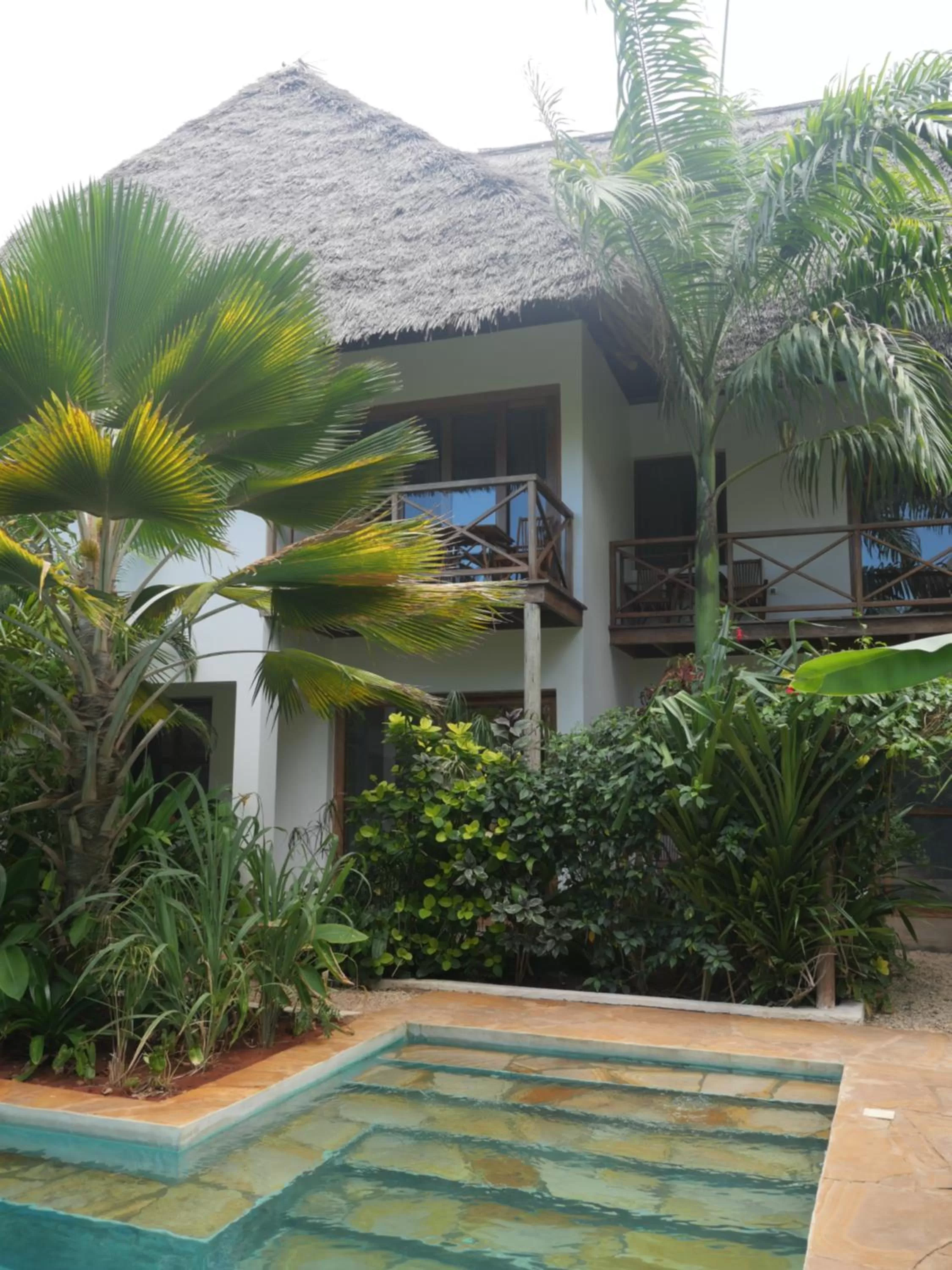 Garden, Swimming Pool in Aluna Nungwi