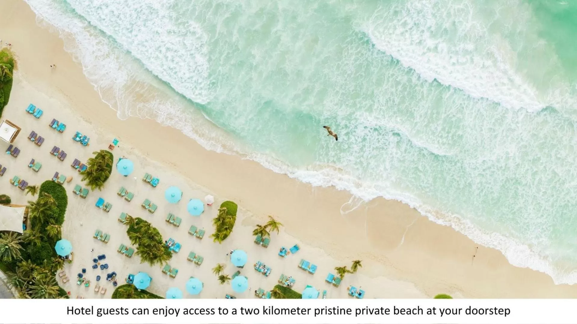 Beach in Jumeirah Al Naseem Dubai