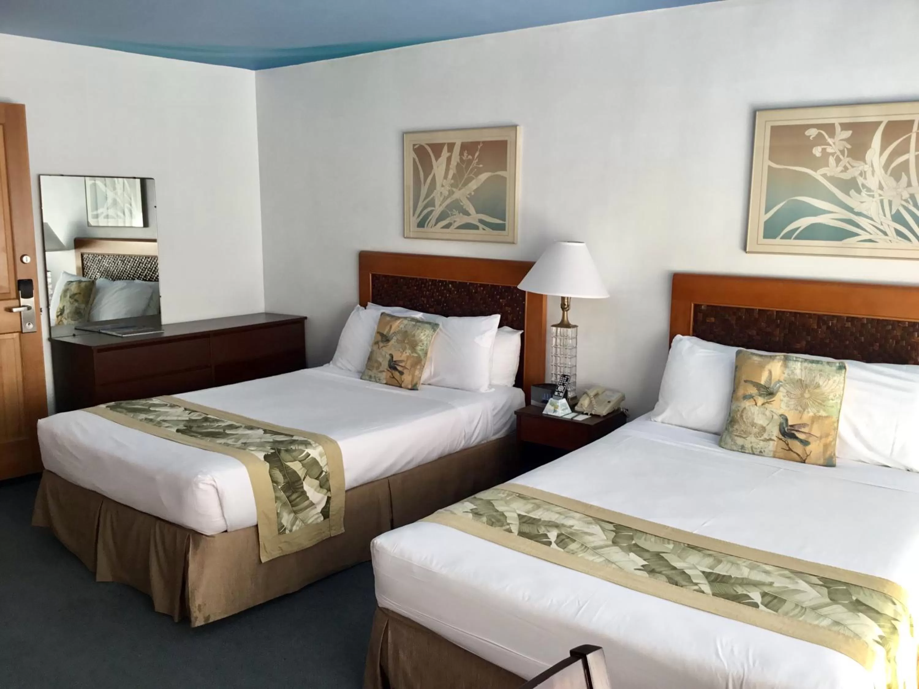 Bed in Holiday Surf Hotel (with full kitchen)