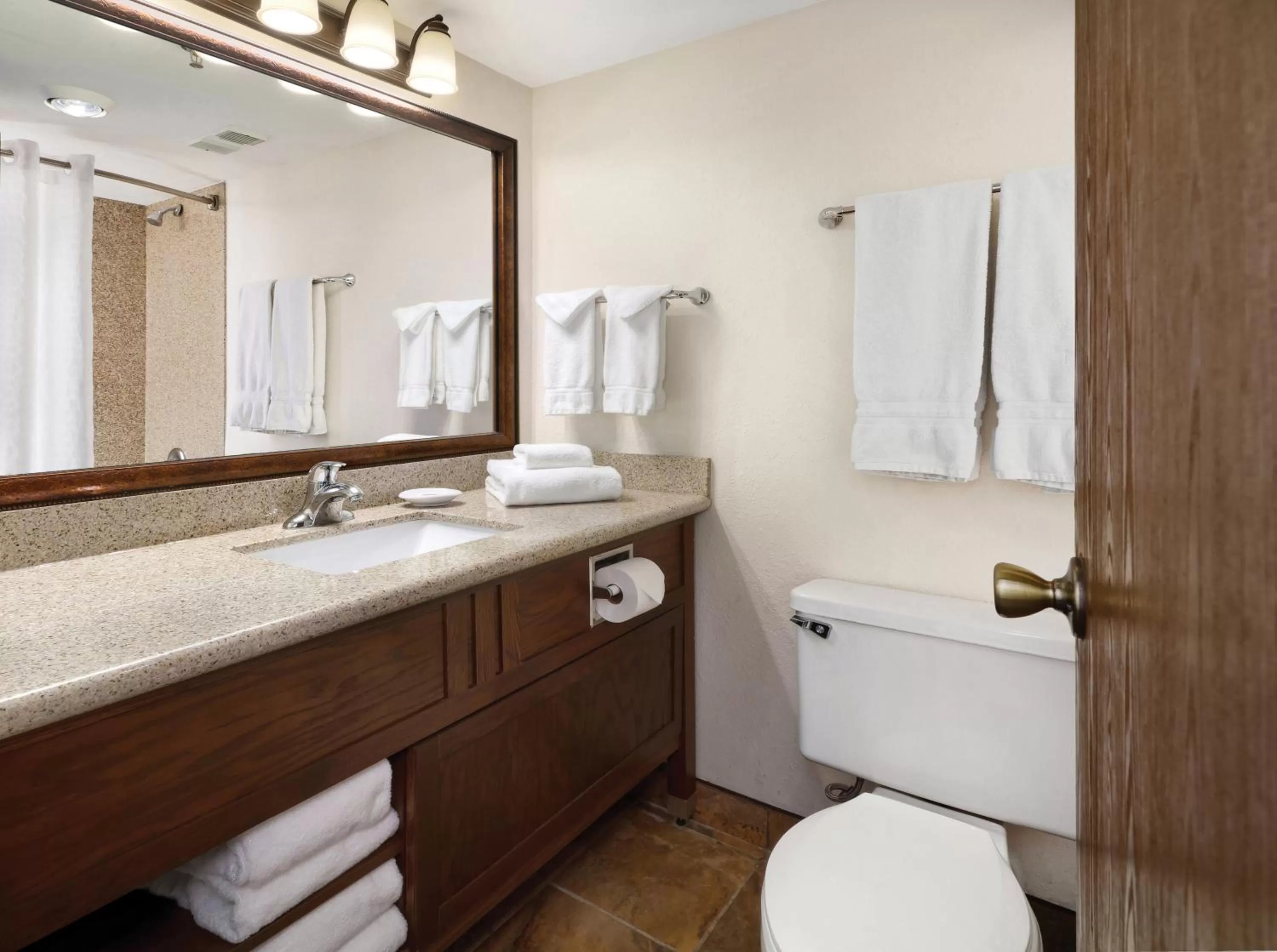 King Room in Ramkota Hotel - Casper