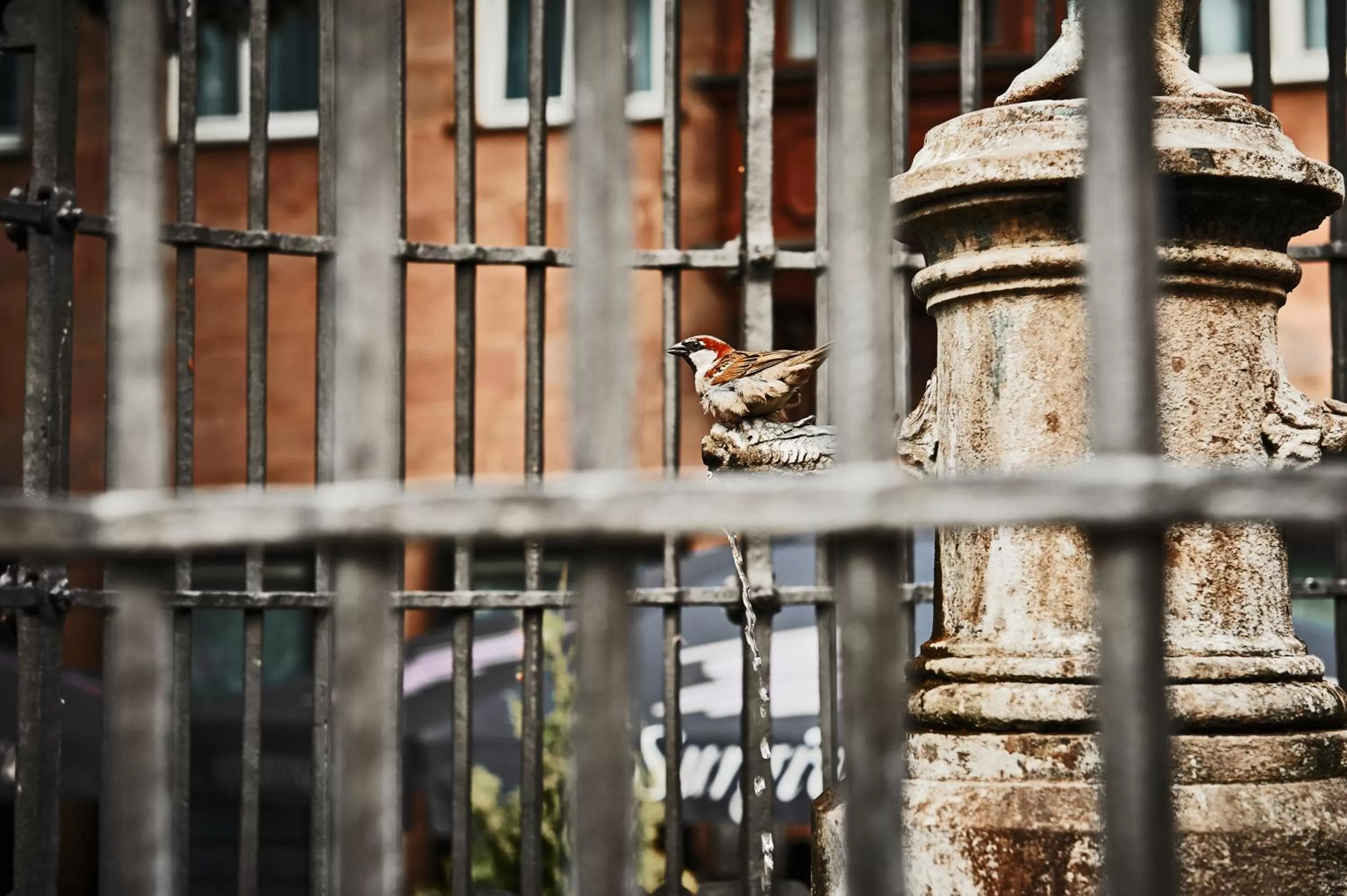 Area and facilities in Hotel Hauser Boutique