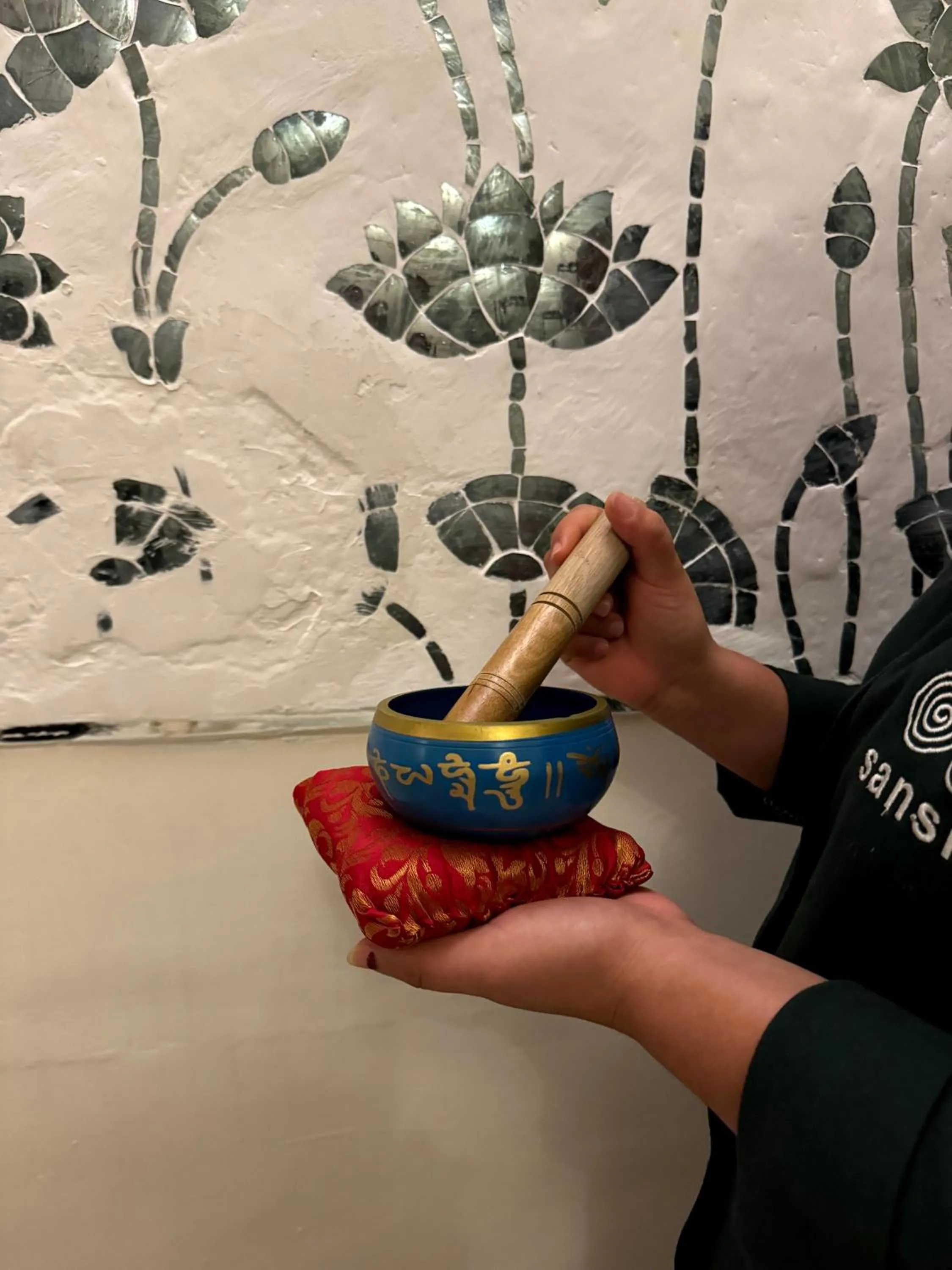 Spa and wellness centre/facilities in Hotel Udai Kothi