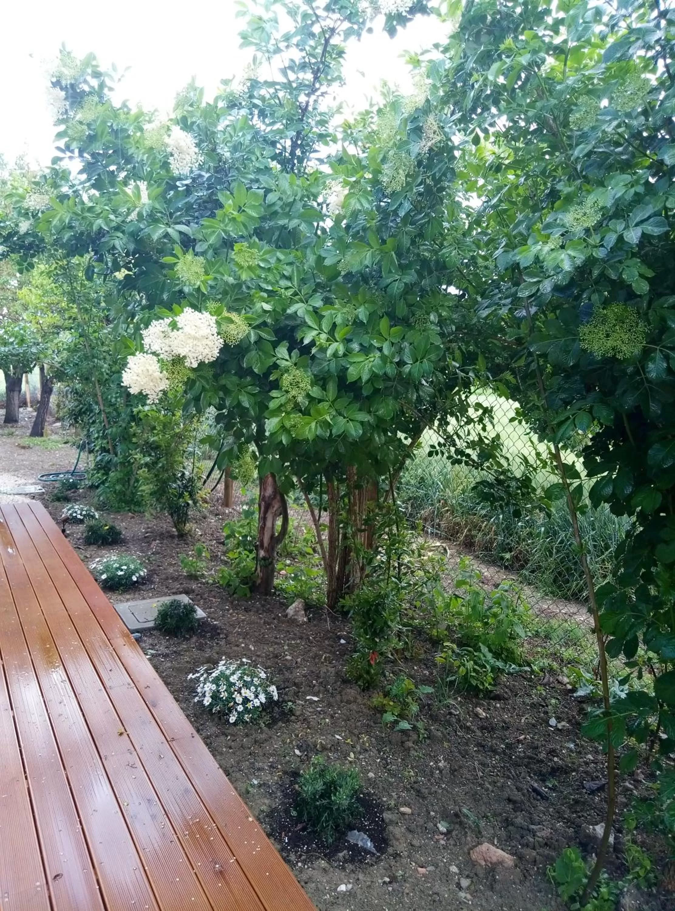 Natural landscape, Garden in La Casa di Tara B&B Armonia e Natura