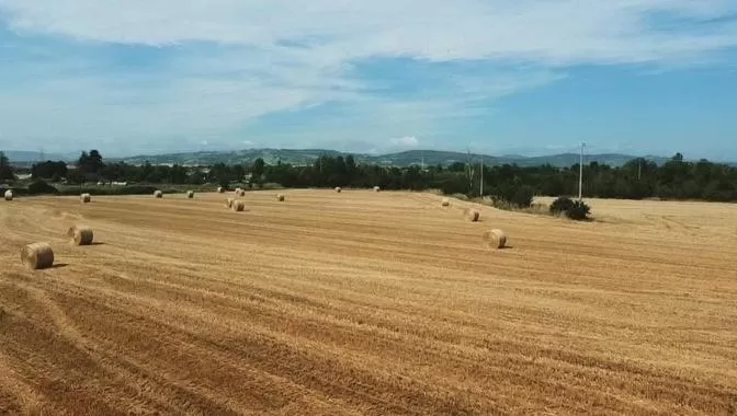 Sala dell Estate Guest House