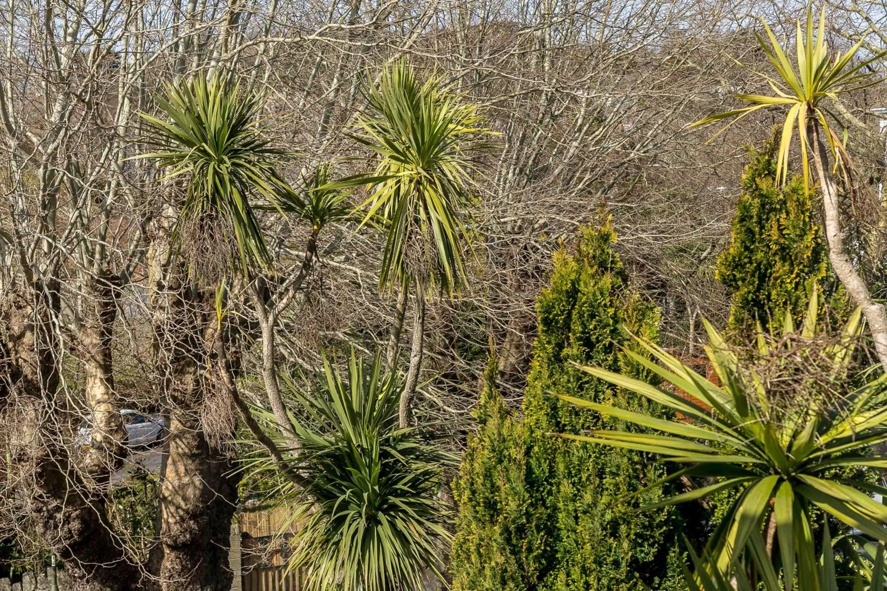 Patio in Melba House