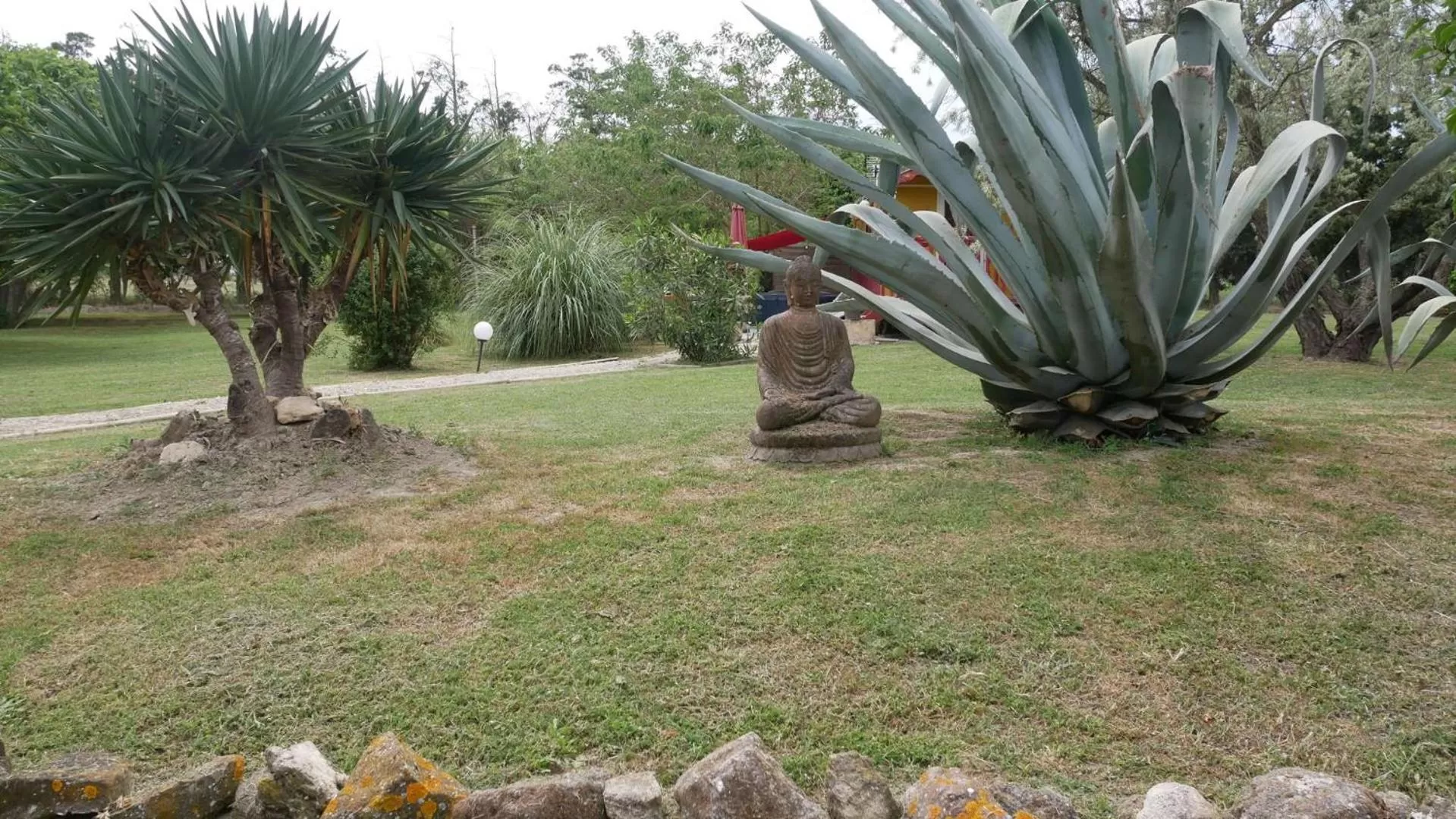 Garden view in MAS MAURANE-Chambre d'hôte avec SPA privé aux portes d'ARLES