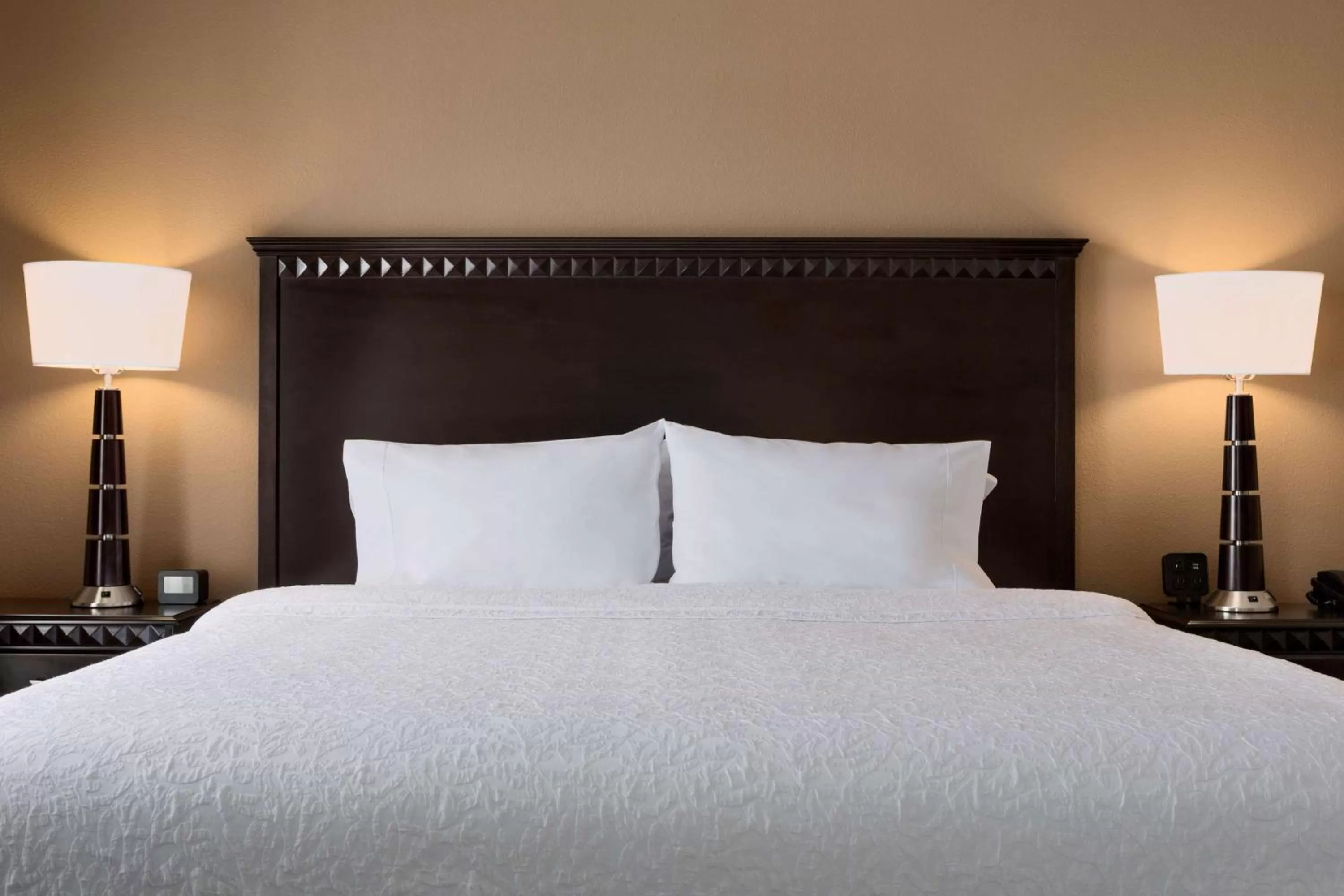 King Room with Sofa Bed in Hampton Inn and Suites Parkersburg Downtown