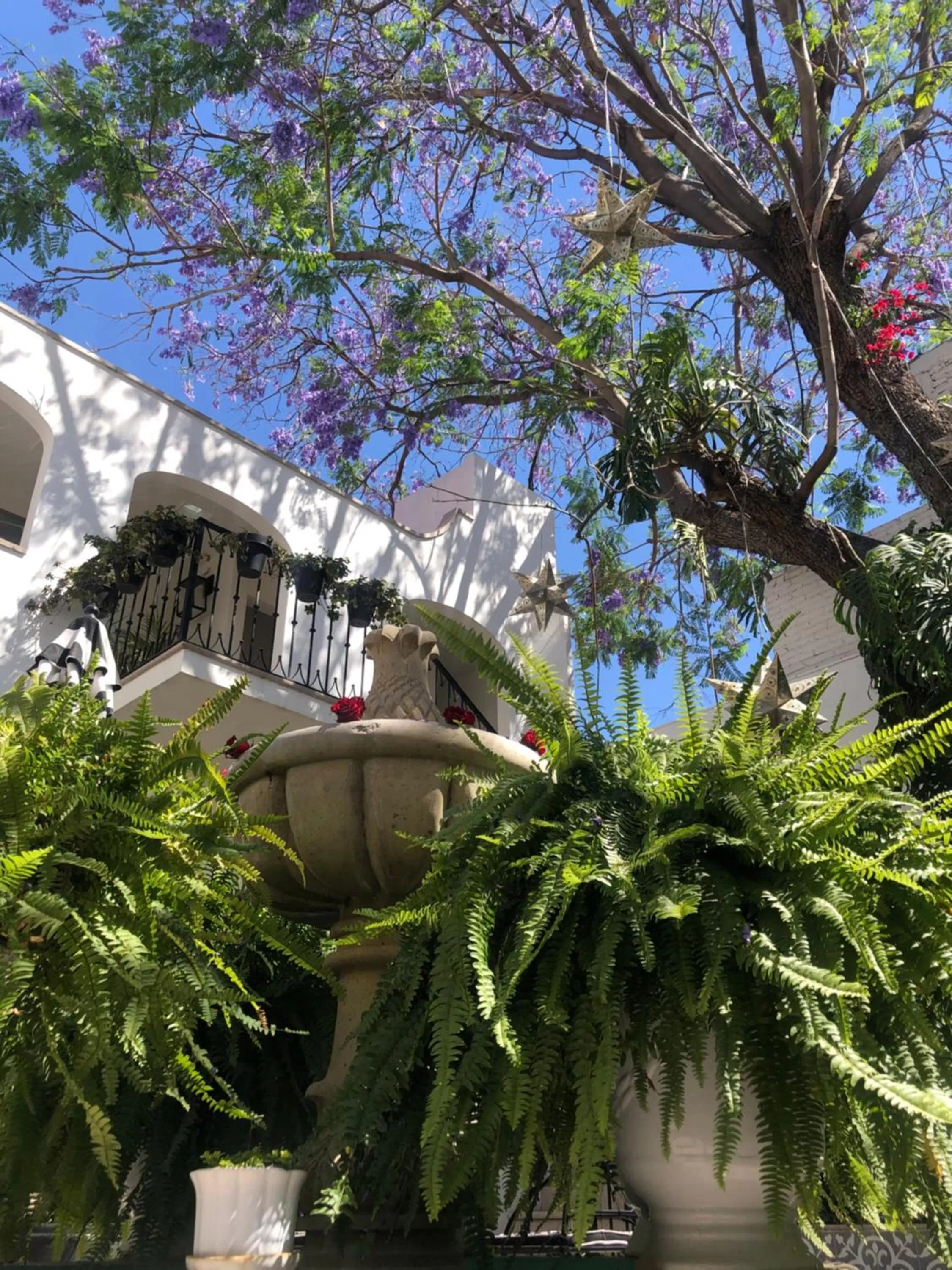 Property building in Casa Laní Luxury B&B