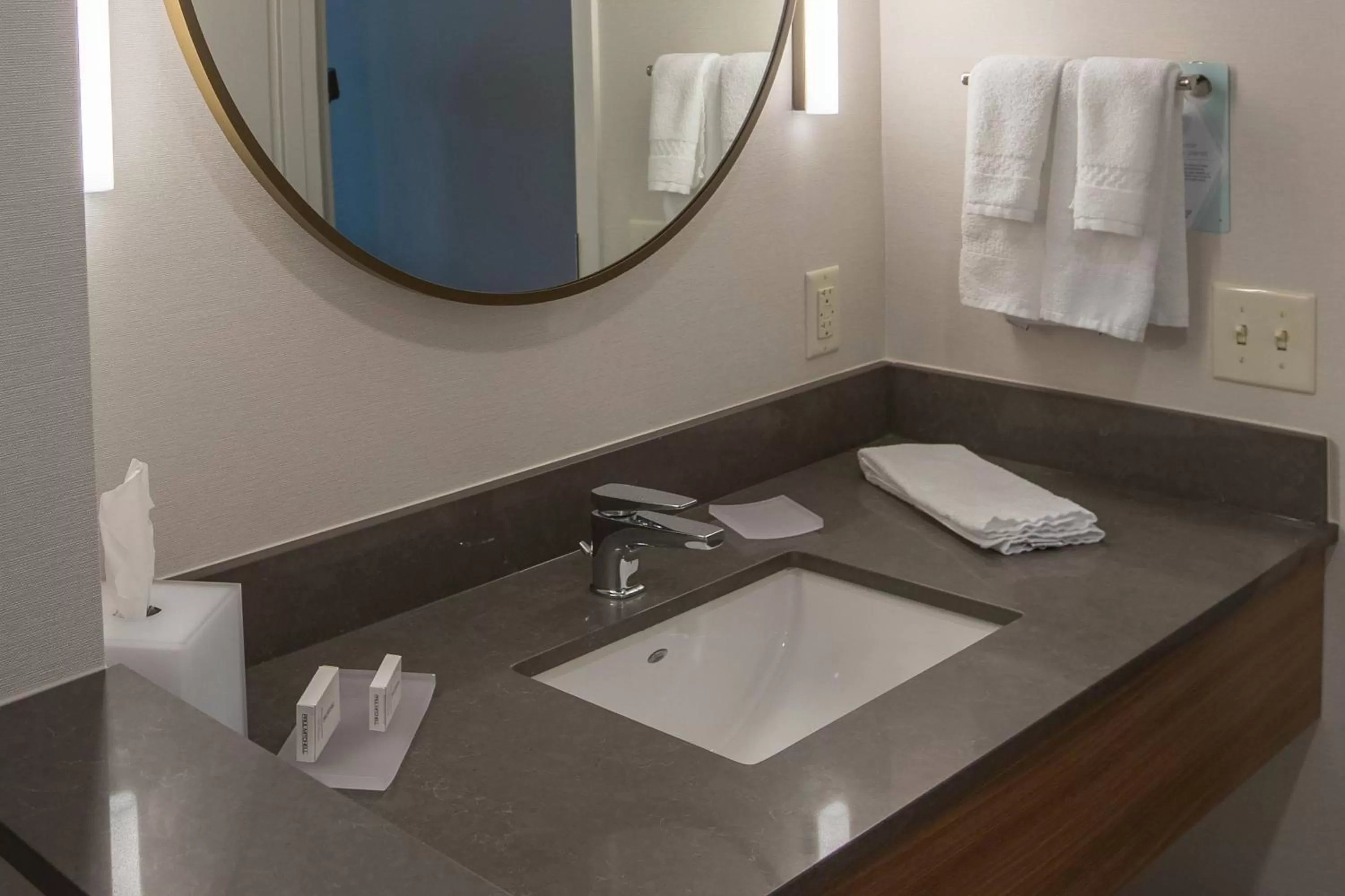 Executive King Suite with Sofa Bed in Fairfield Inn & Suites by Marriott Philadelphia Valley Forge/Great Valley