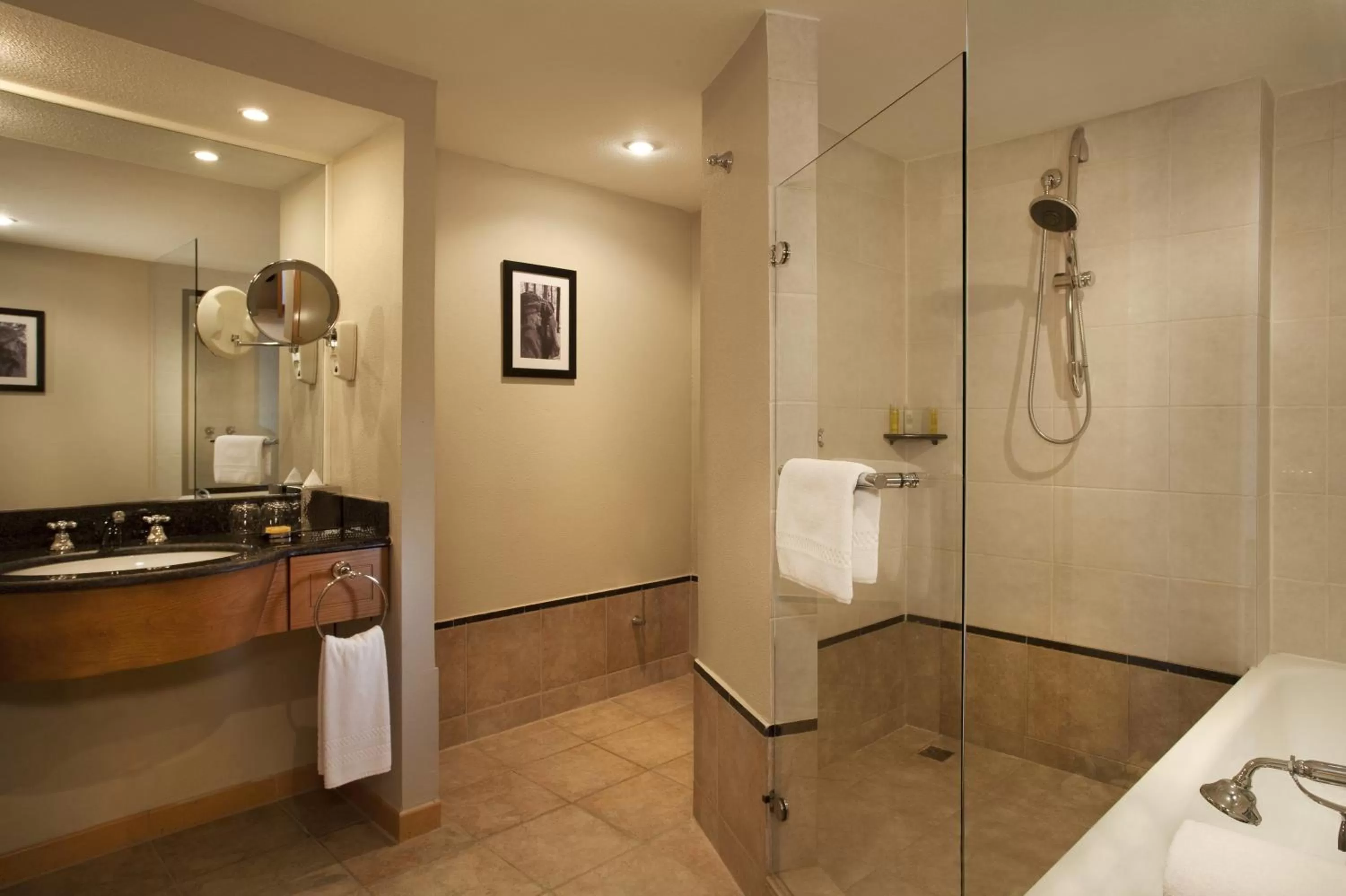 Deluxe King Room - Club Access in Hyatt Regency Bishkek