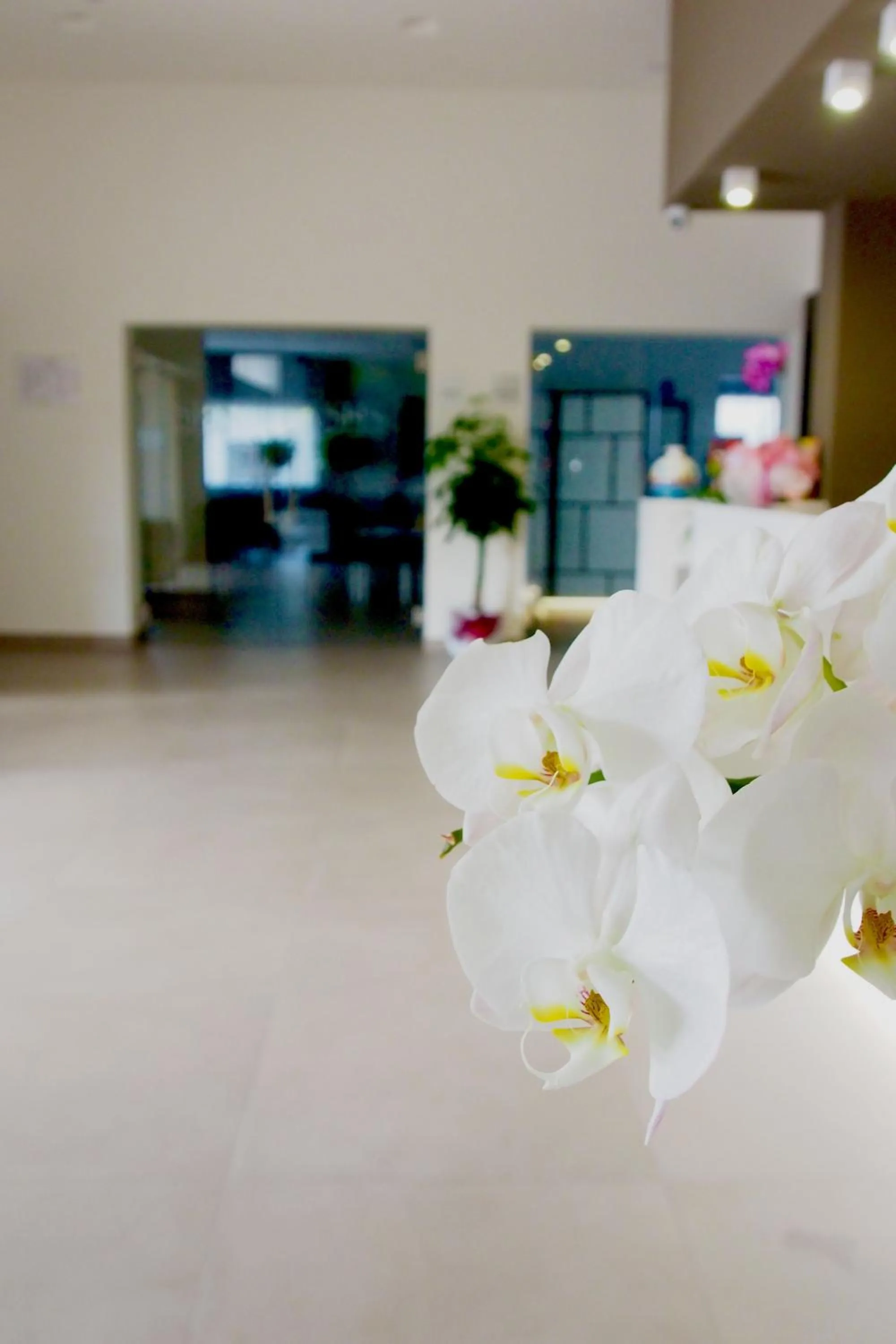 Lobby or reception in Sicilia Hotel Spa