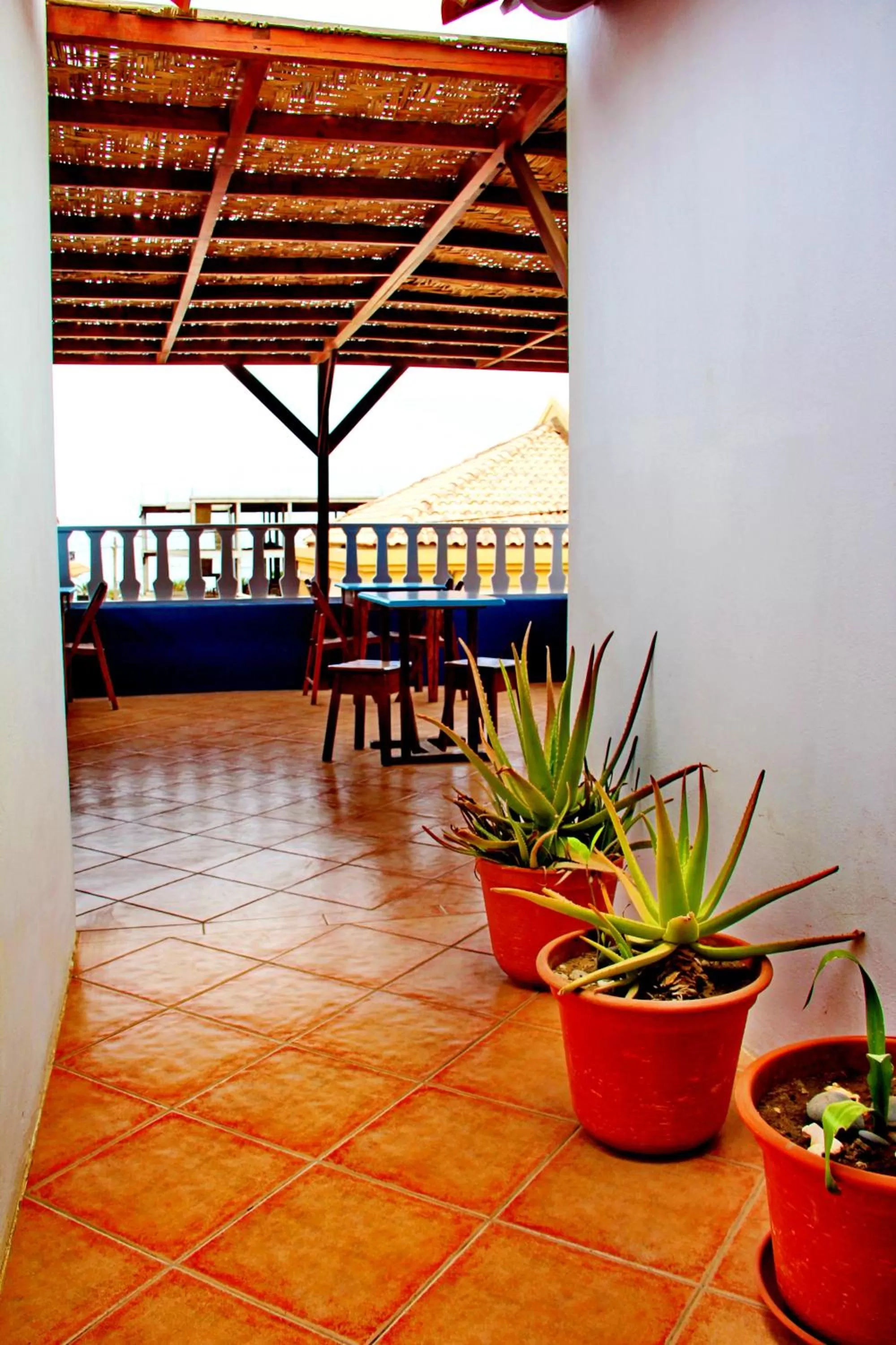 Restaurant/places to eat in Hotel MiraBela