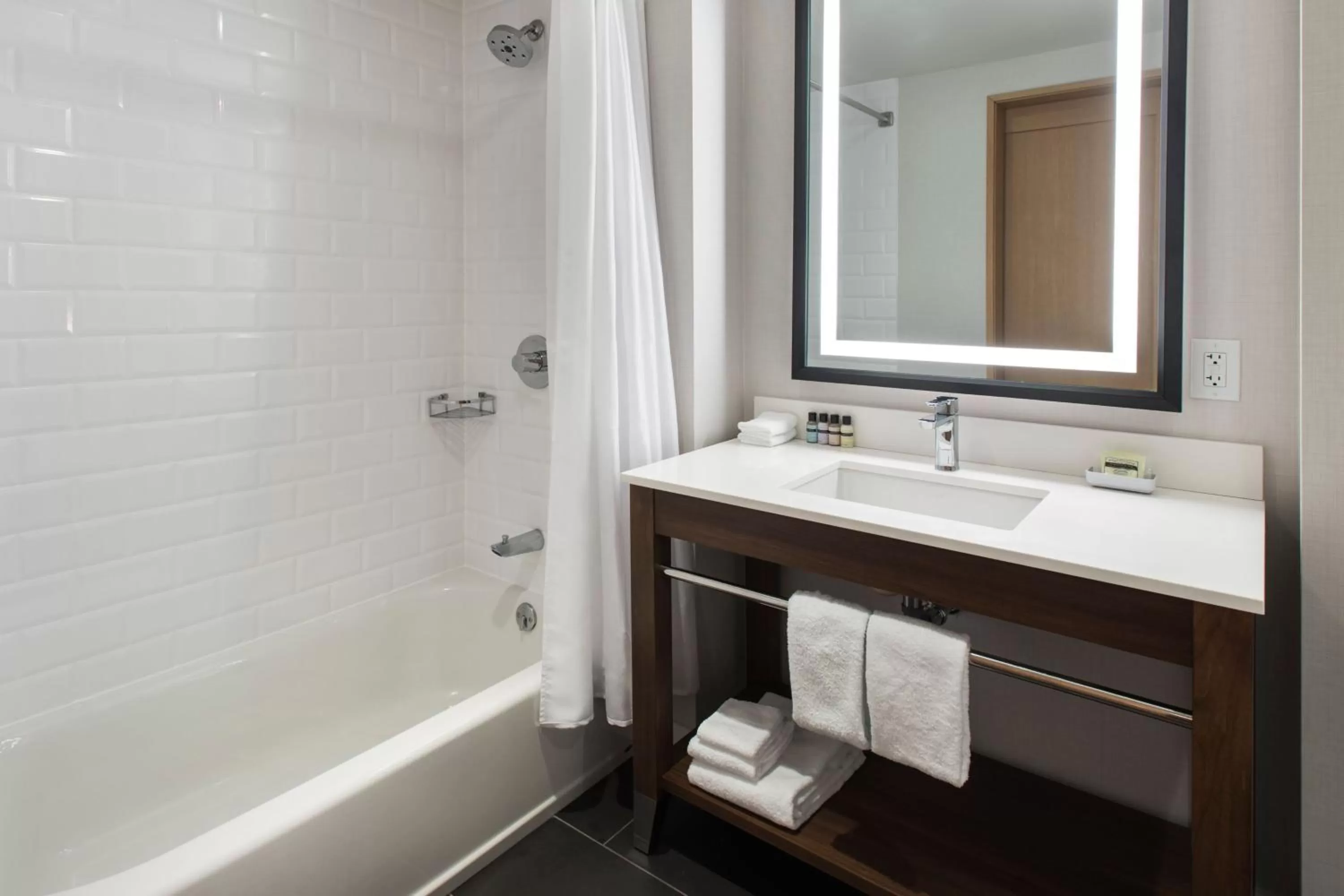 Bathroom in Four Points by Sheraton Albany