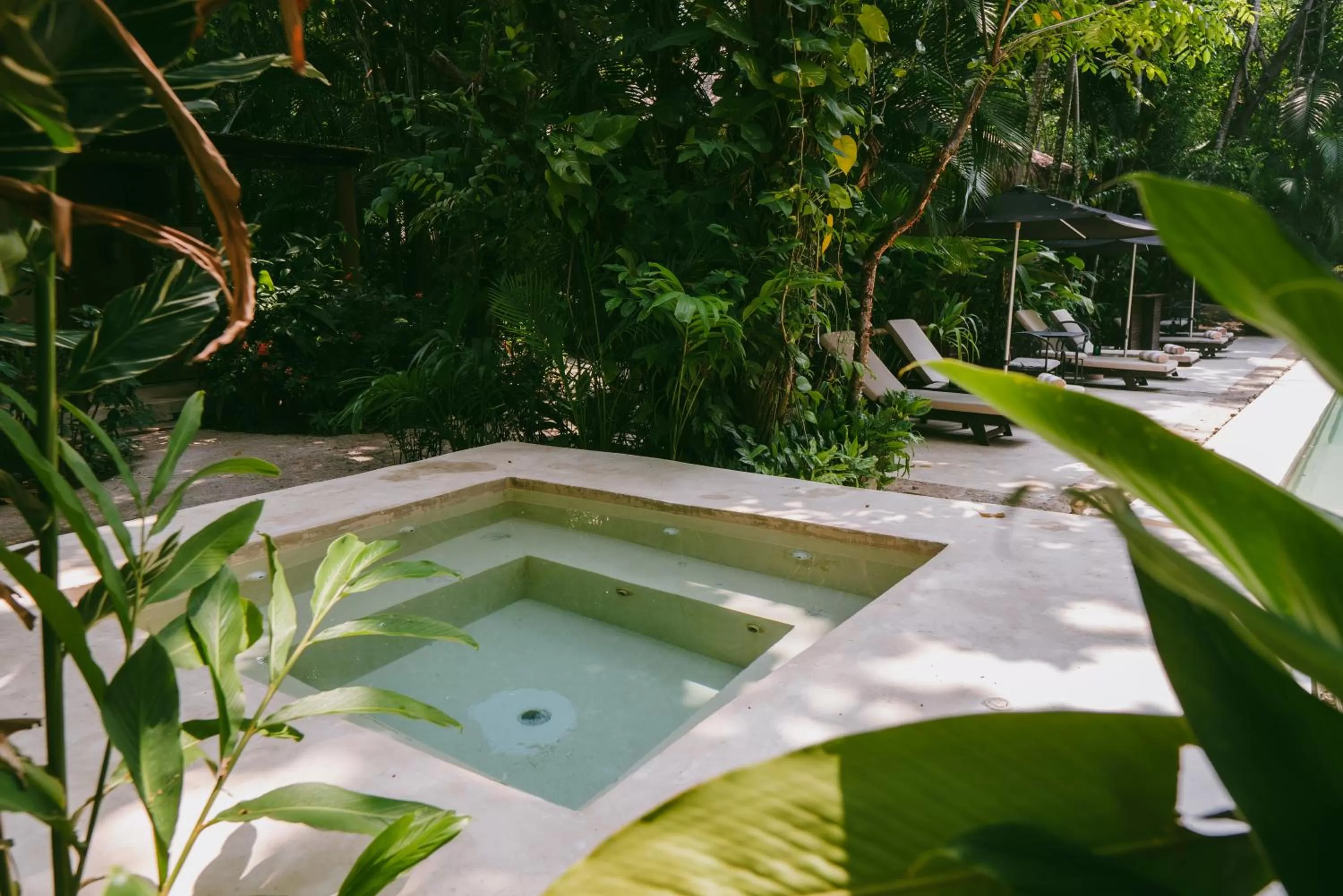 Pool view in Piedra de Agua Palenque