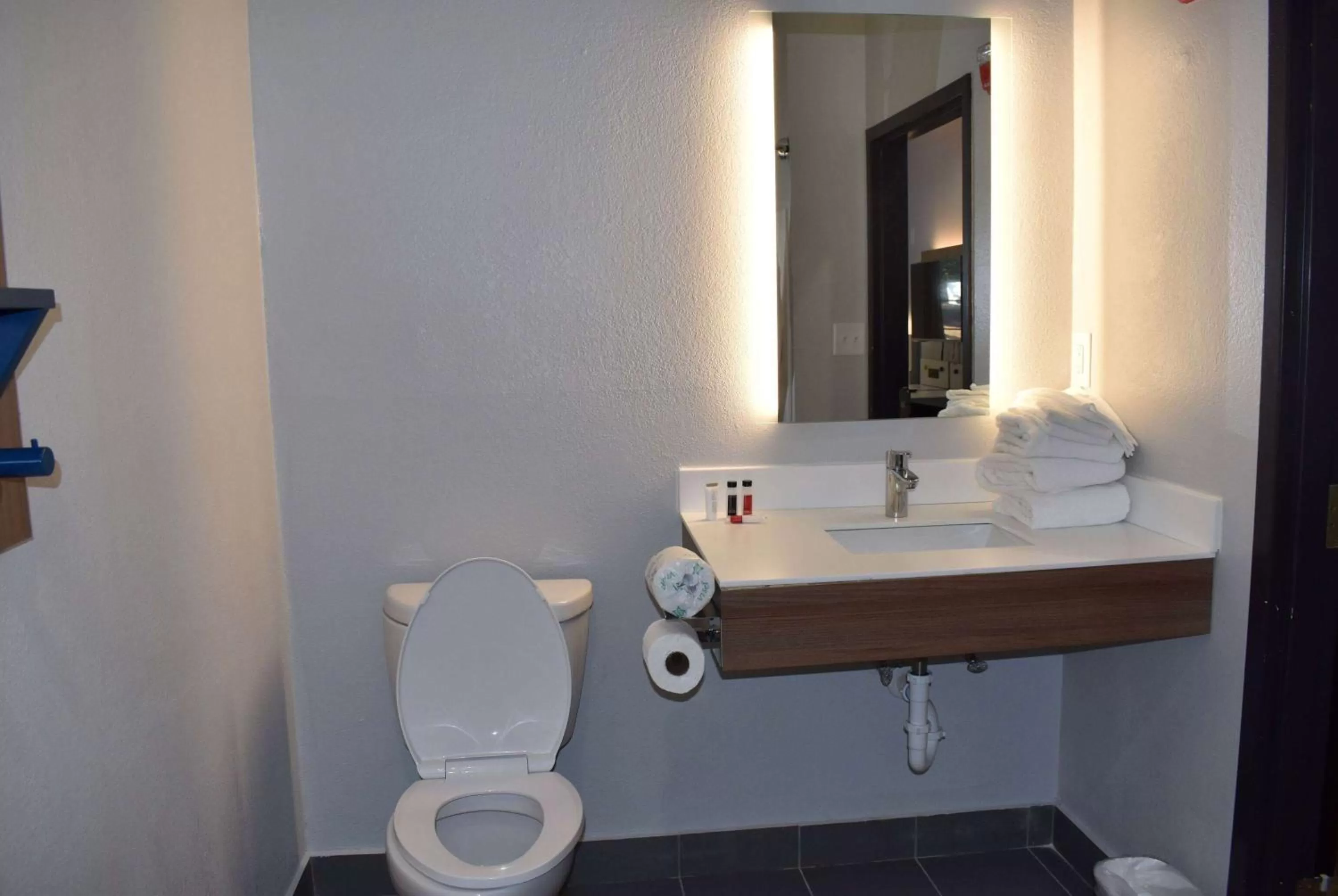 TV and multimedia in Microtel Inn & Suites by Wyndham Stockbridge/Atlanta I-75