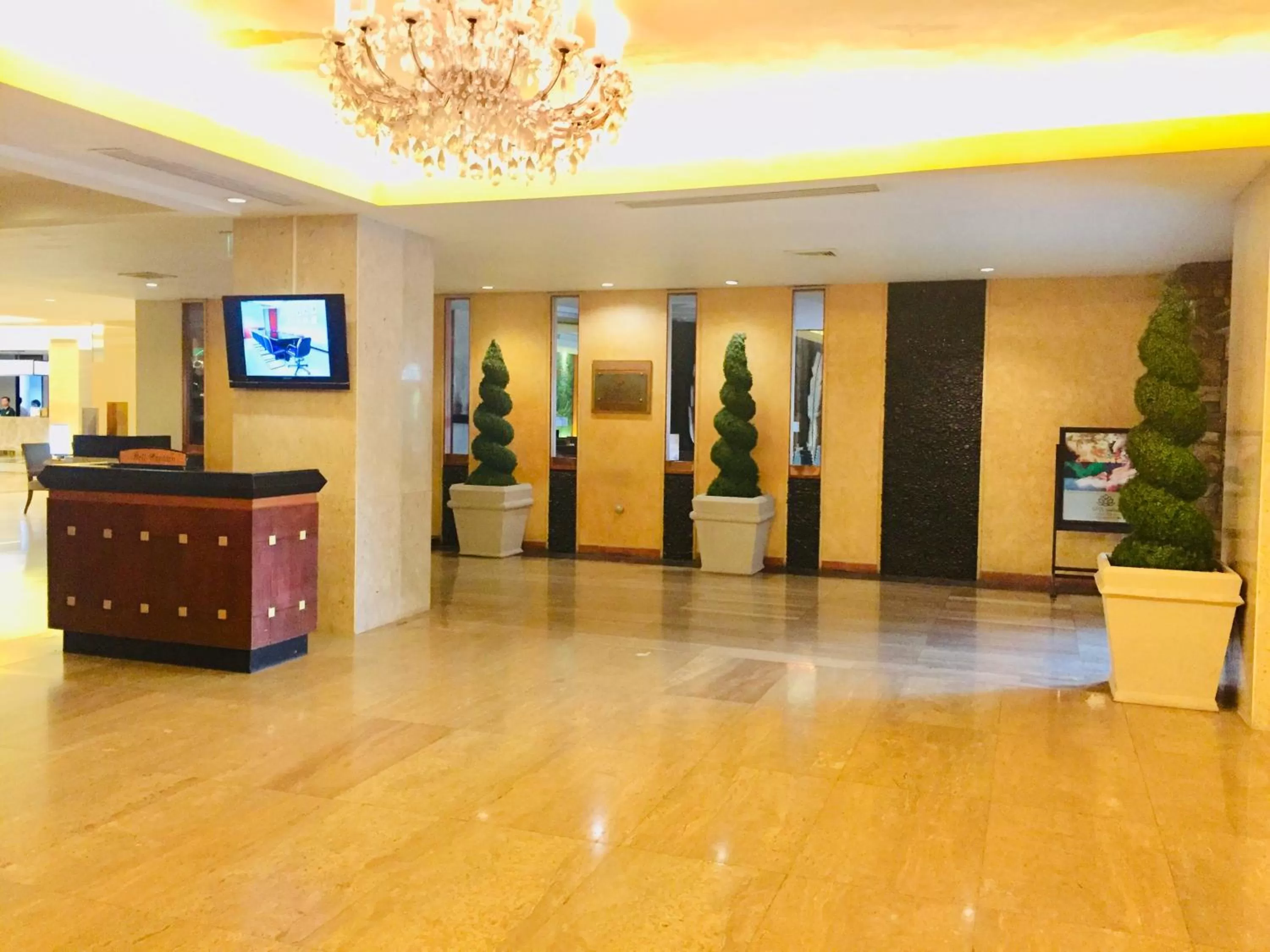 Area and facilities in Indra Regent Hotel