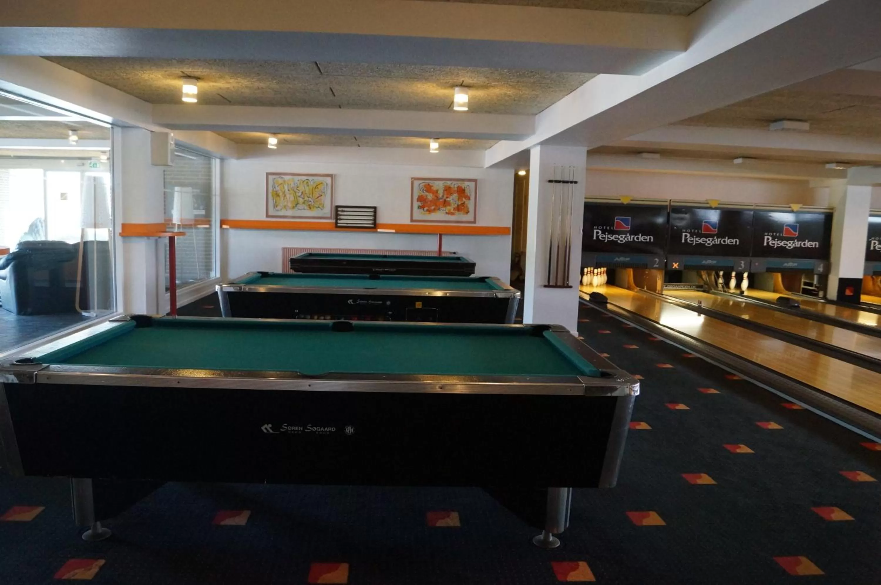 Activities in Hotel Pejsegaarden