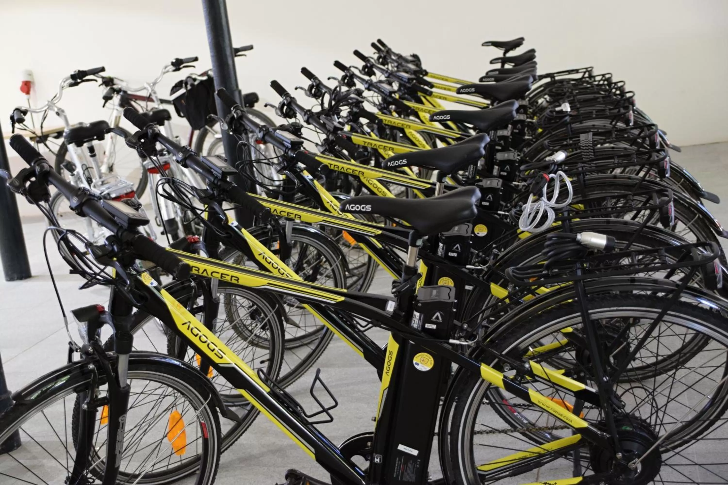 People in Penzion Panský dvůr Telč