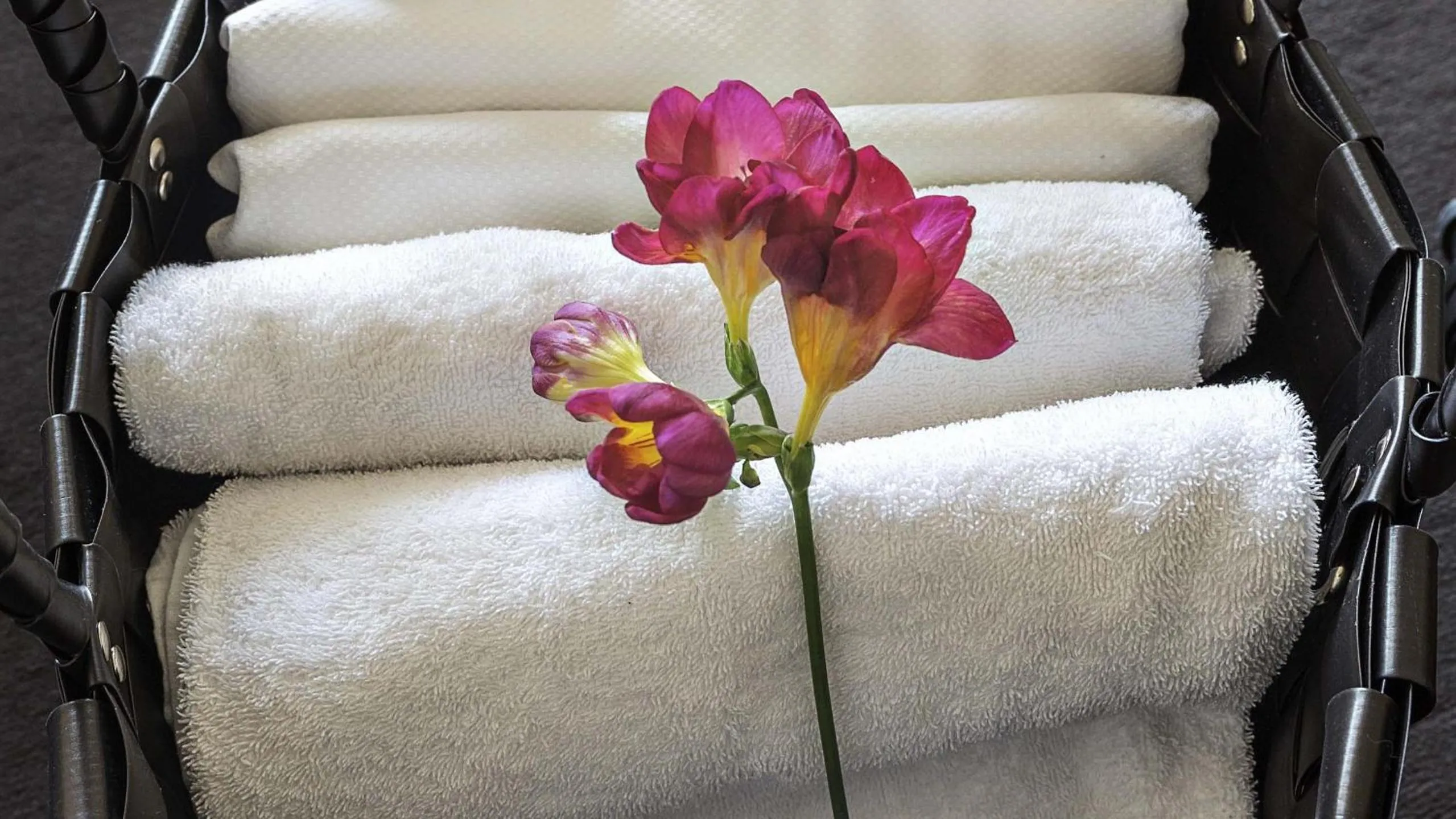 Superior Single Room in Das Parkhotel