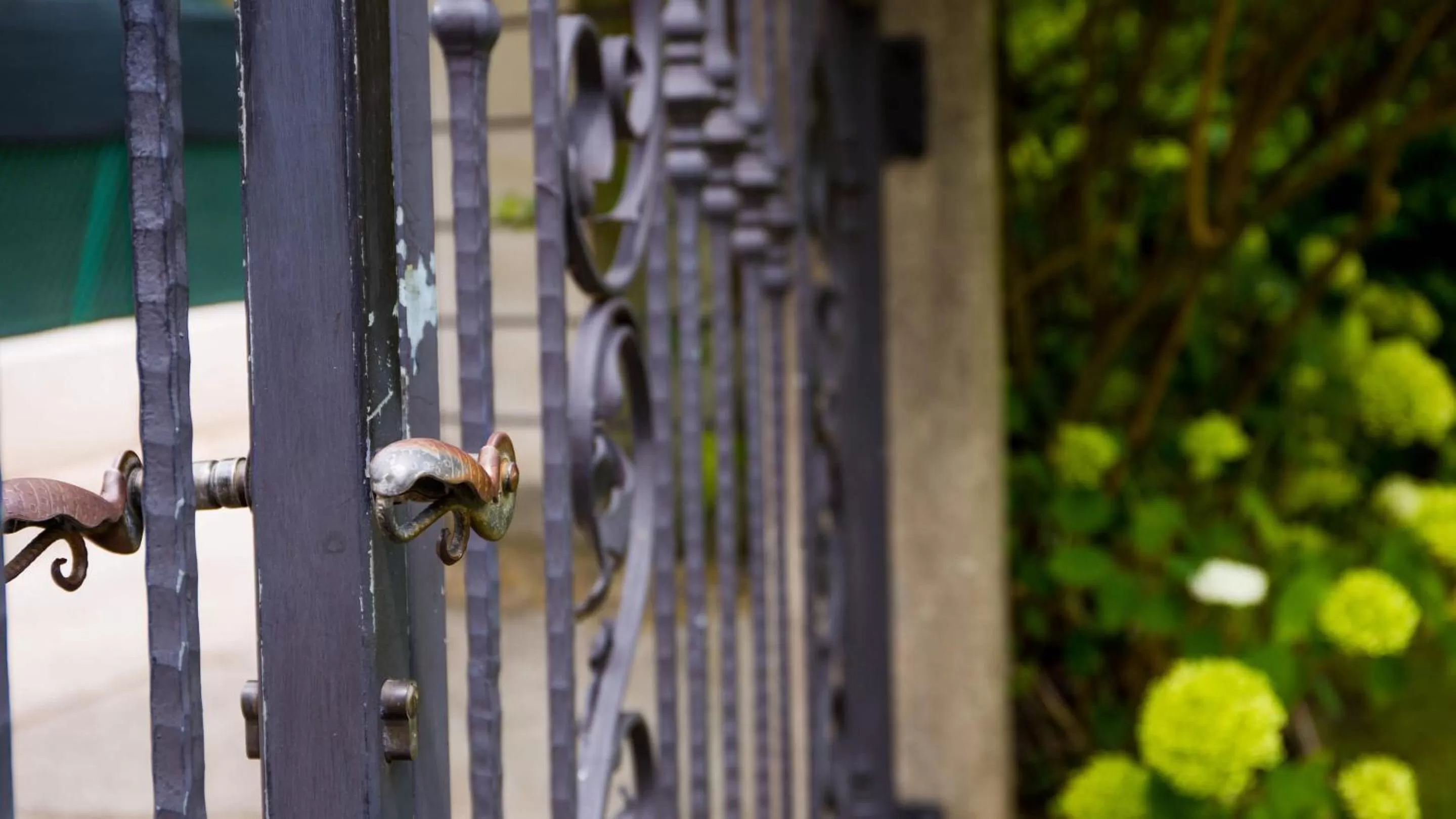 Garden in Hotel Villa Laurus