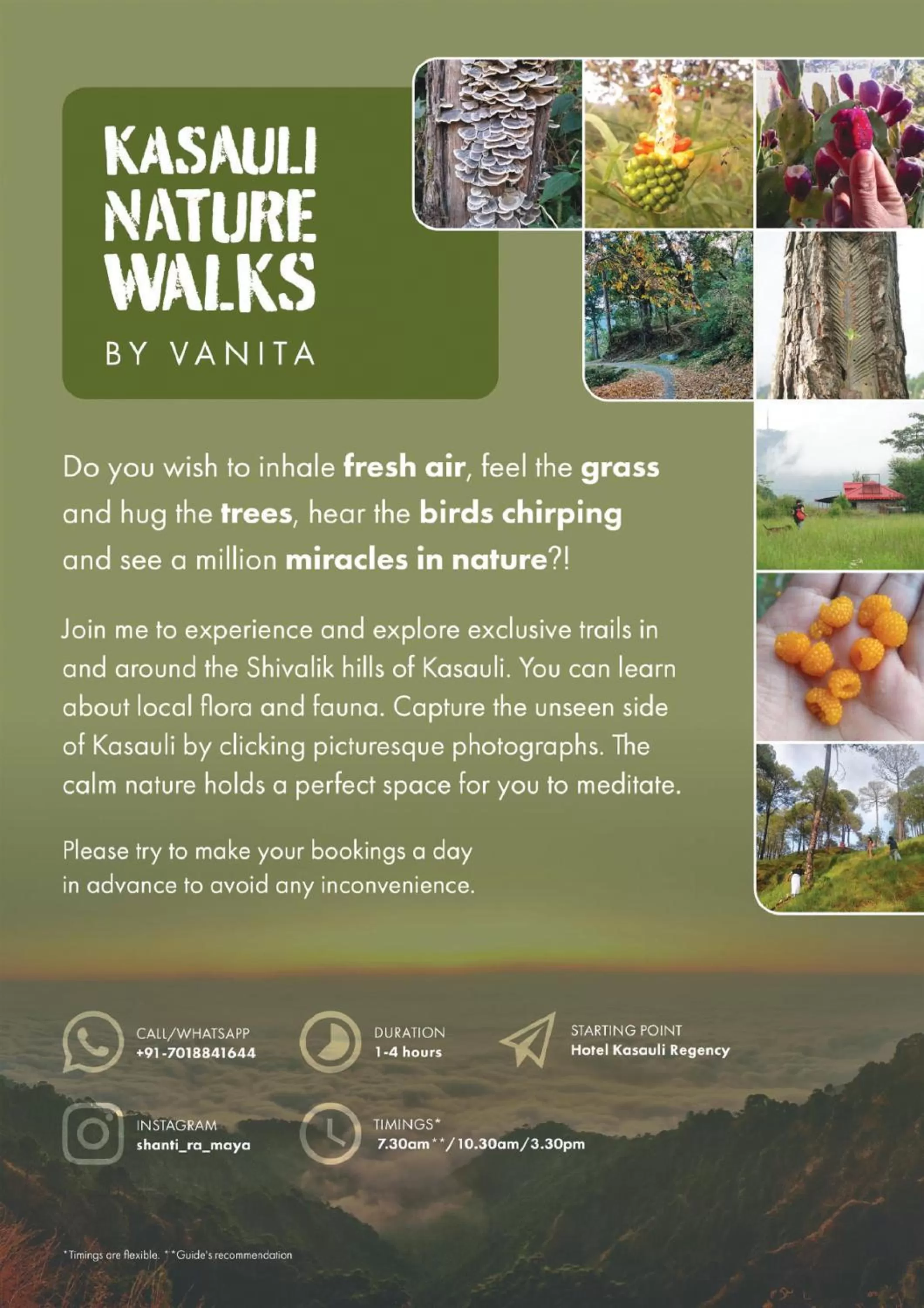 Natural landscape in Hotel Kasauli Regency Stags Not Allowed