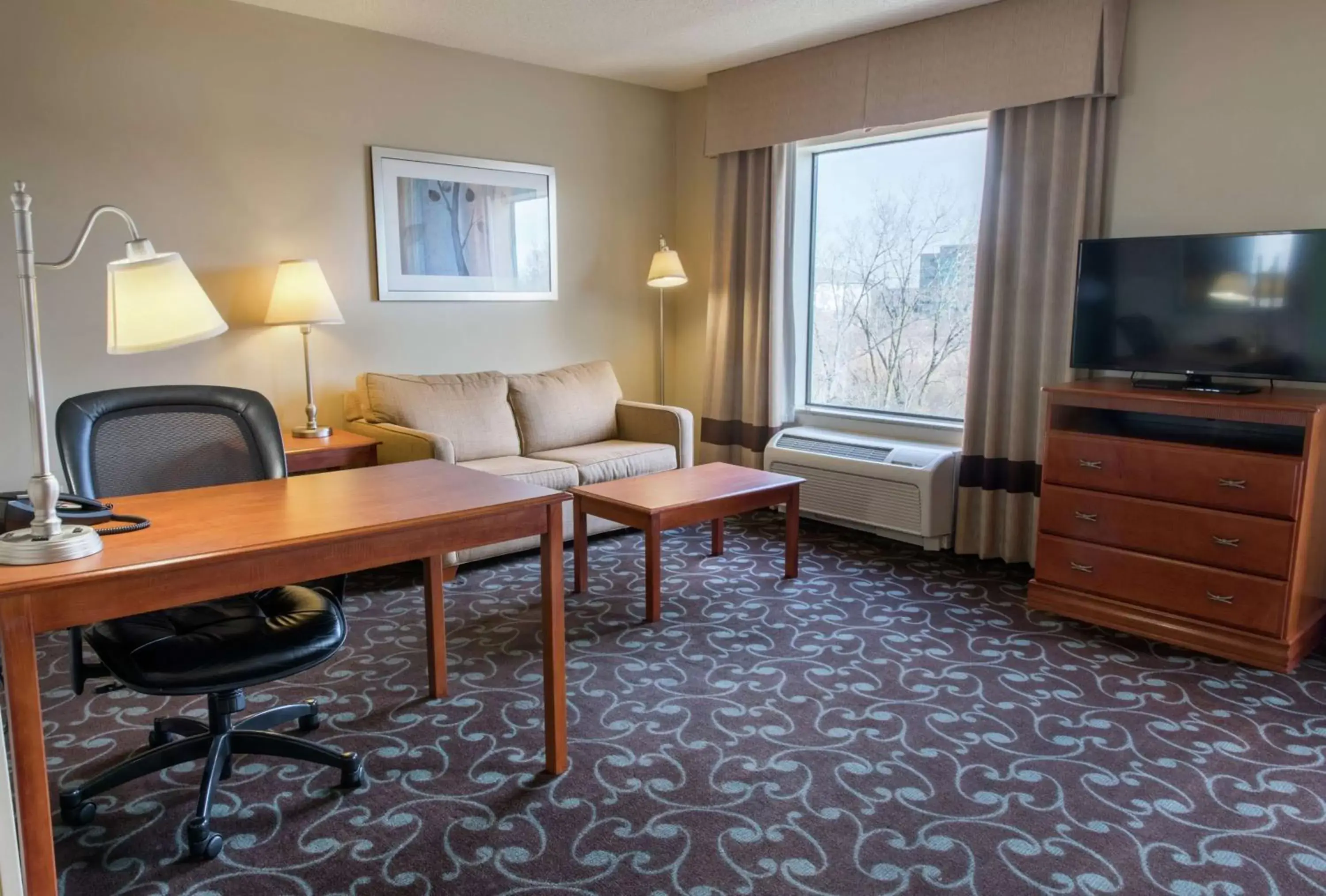 King Studio Suite with Sofa Bed - Hearing Access/Non-Smoking in Hampton Inn & Suites Chicago Deer Park King Studio Suite with Sofa Bed - Hearing Access/Non-Smoking in Hampton Inn & Suites Chicago Deer Park