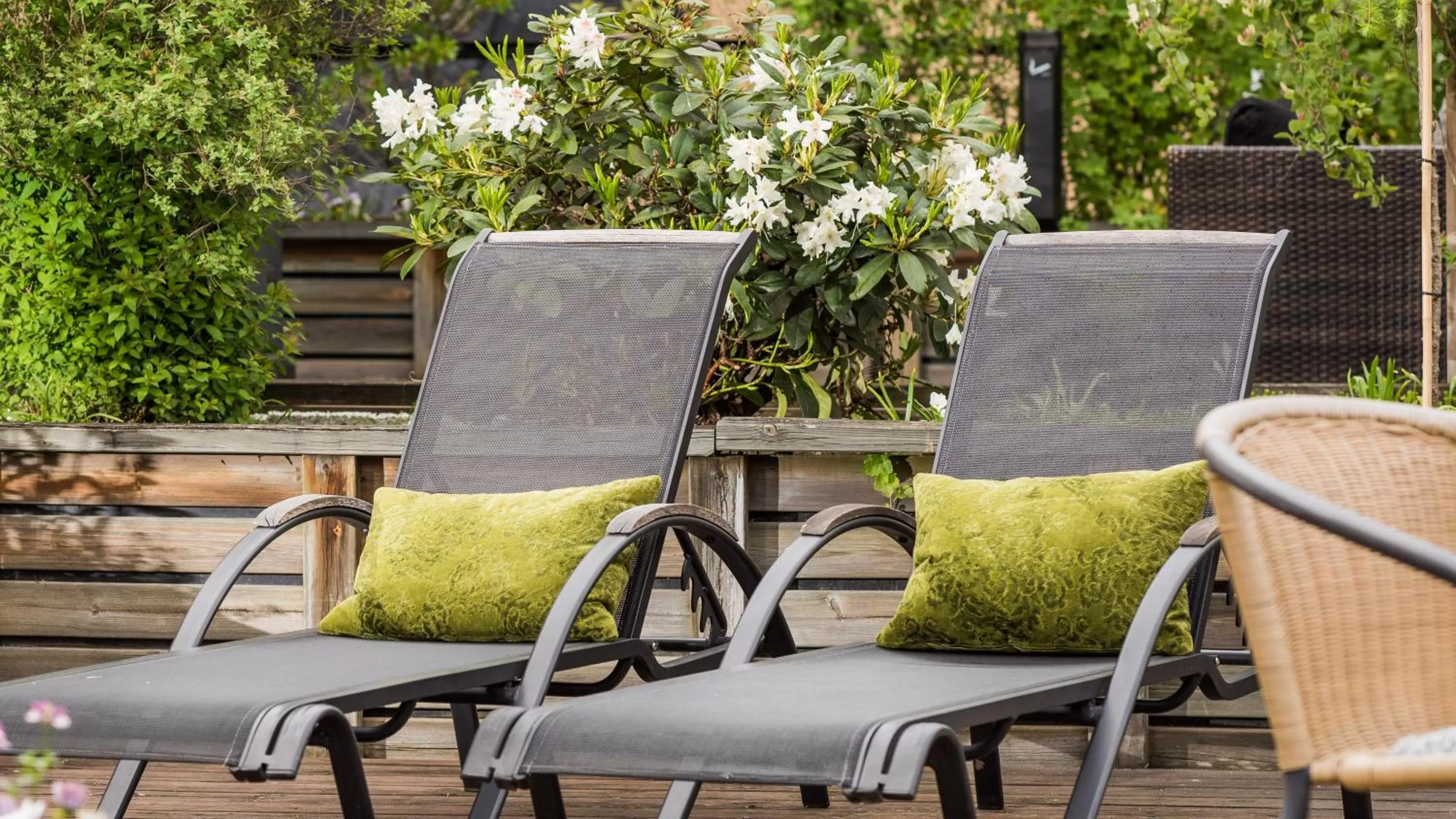 Day in Home Hotel Cardinal