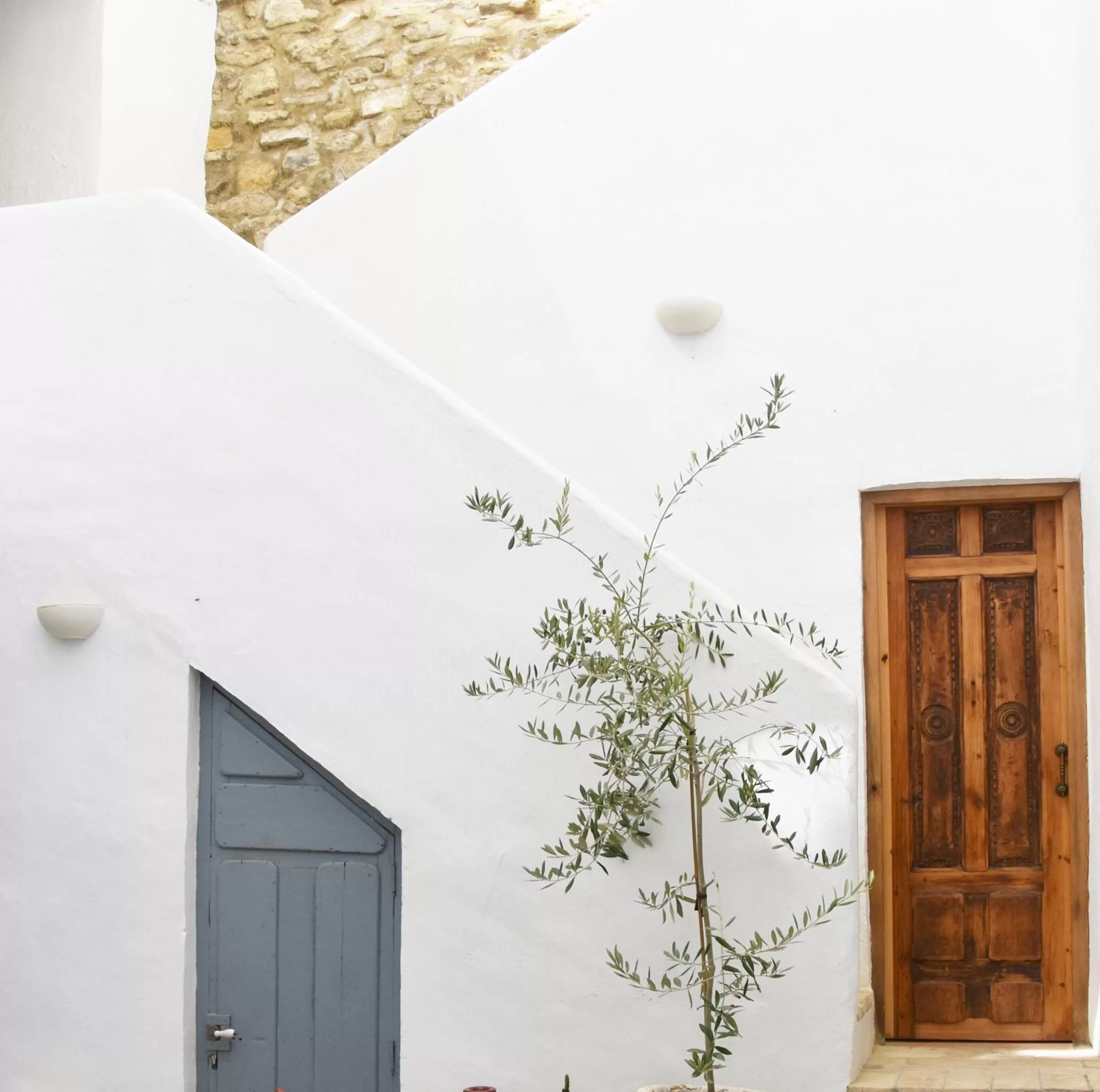 Patio in Casa Almara