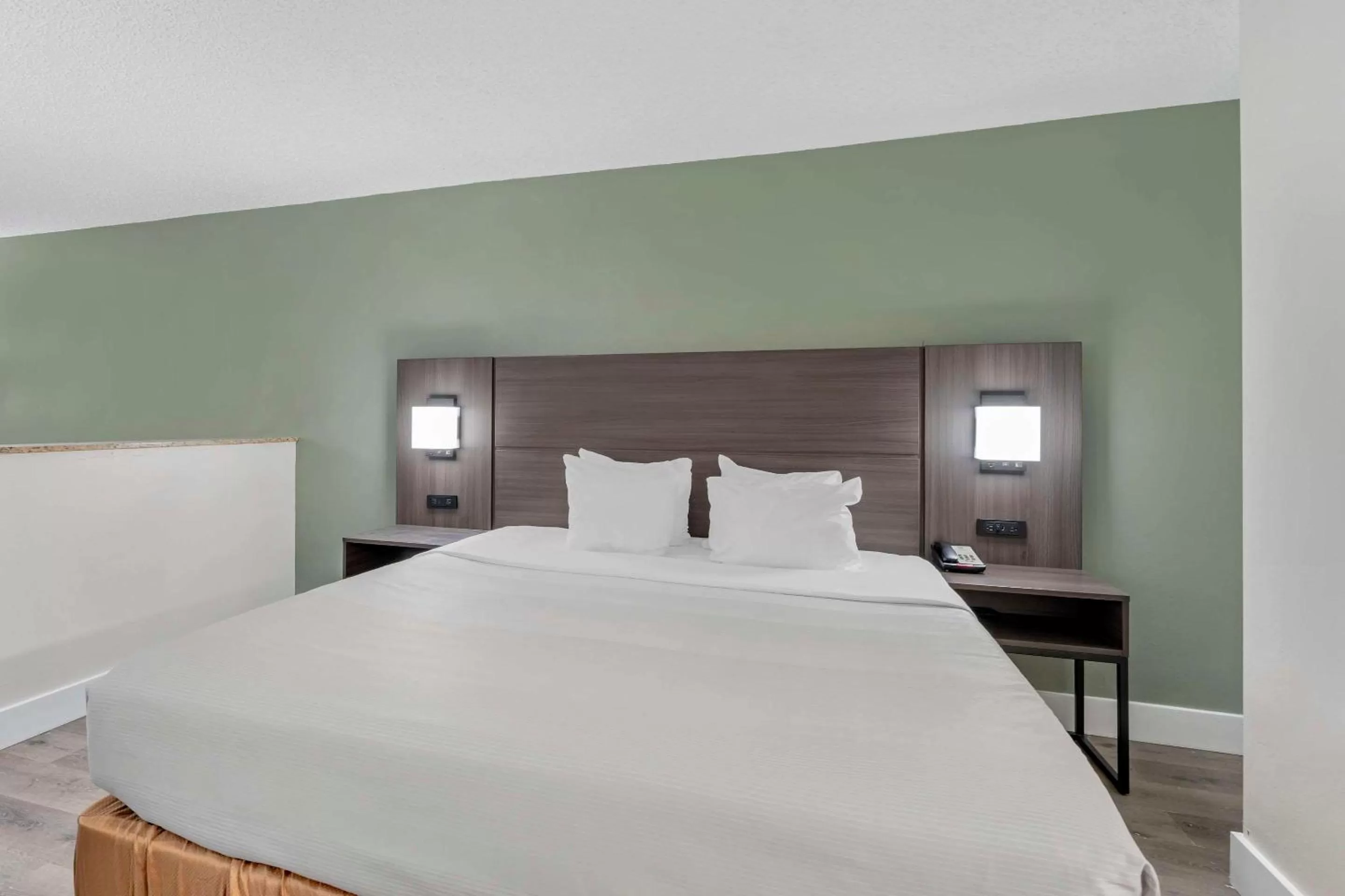 Bedroom, Bed in Quality Inn & Suites Orlando East - UCF Area