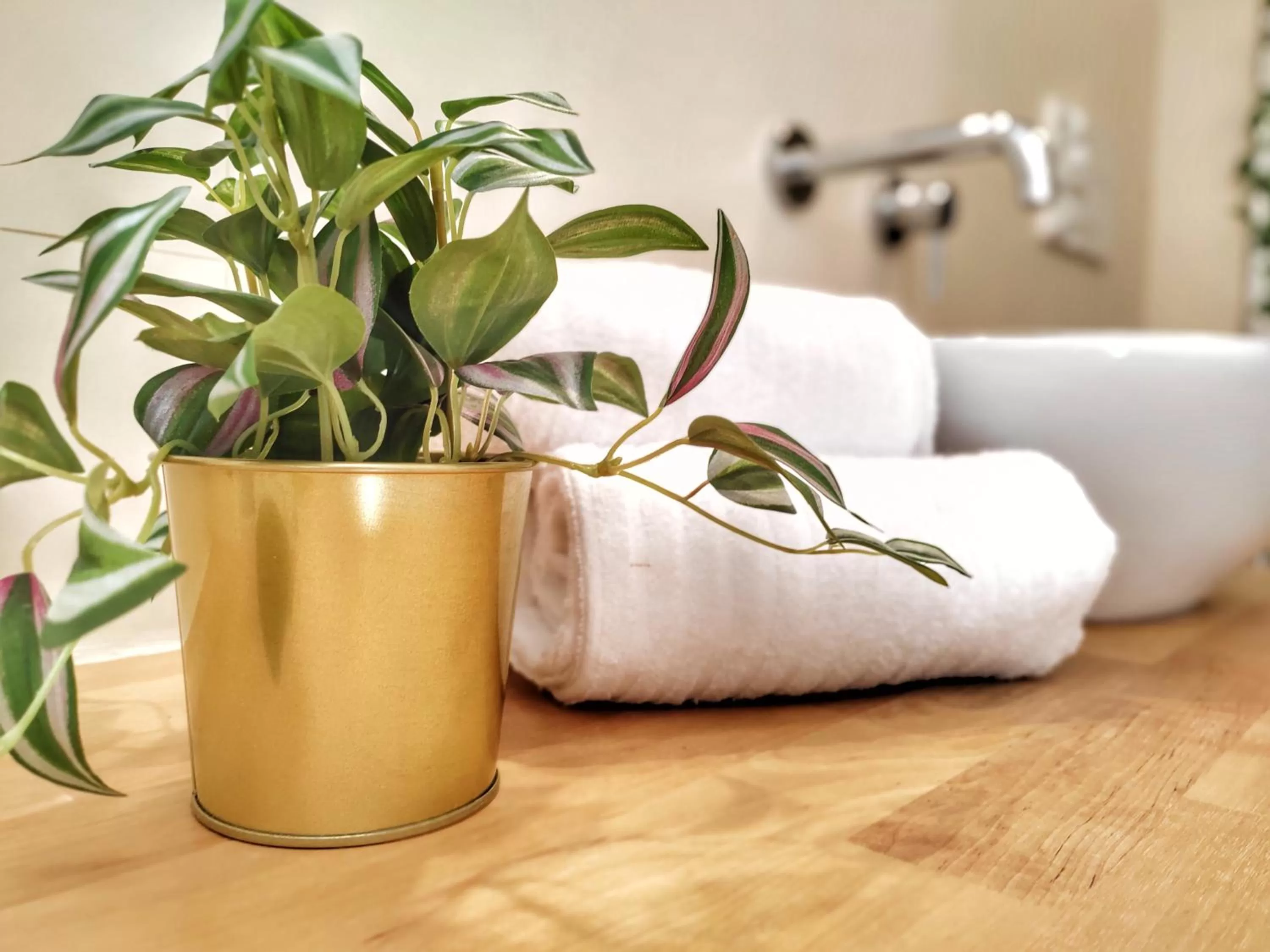 Carpe Diem B&B e Case Vacanza