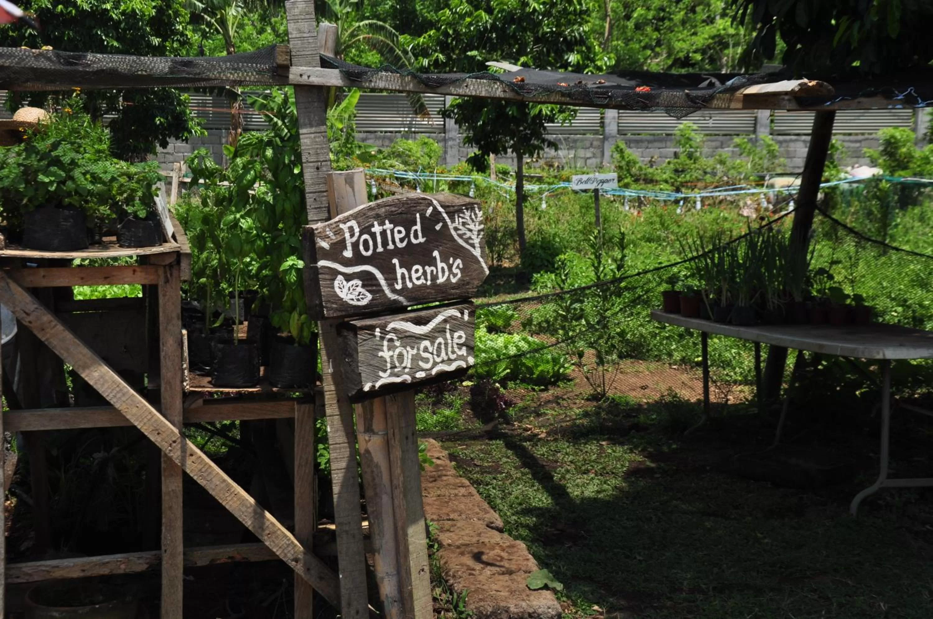 Garden in Hotel Kimberly Tagaytay