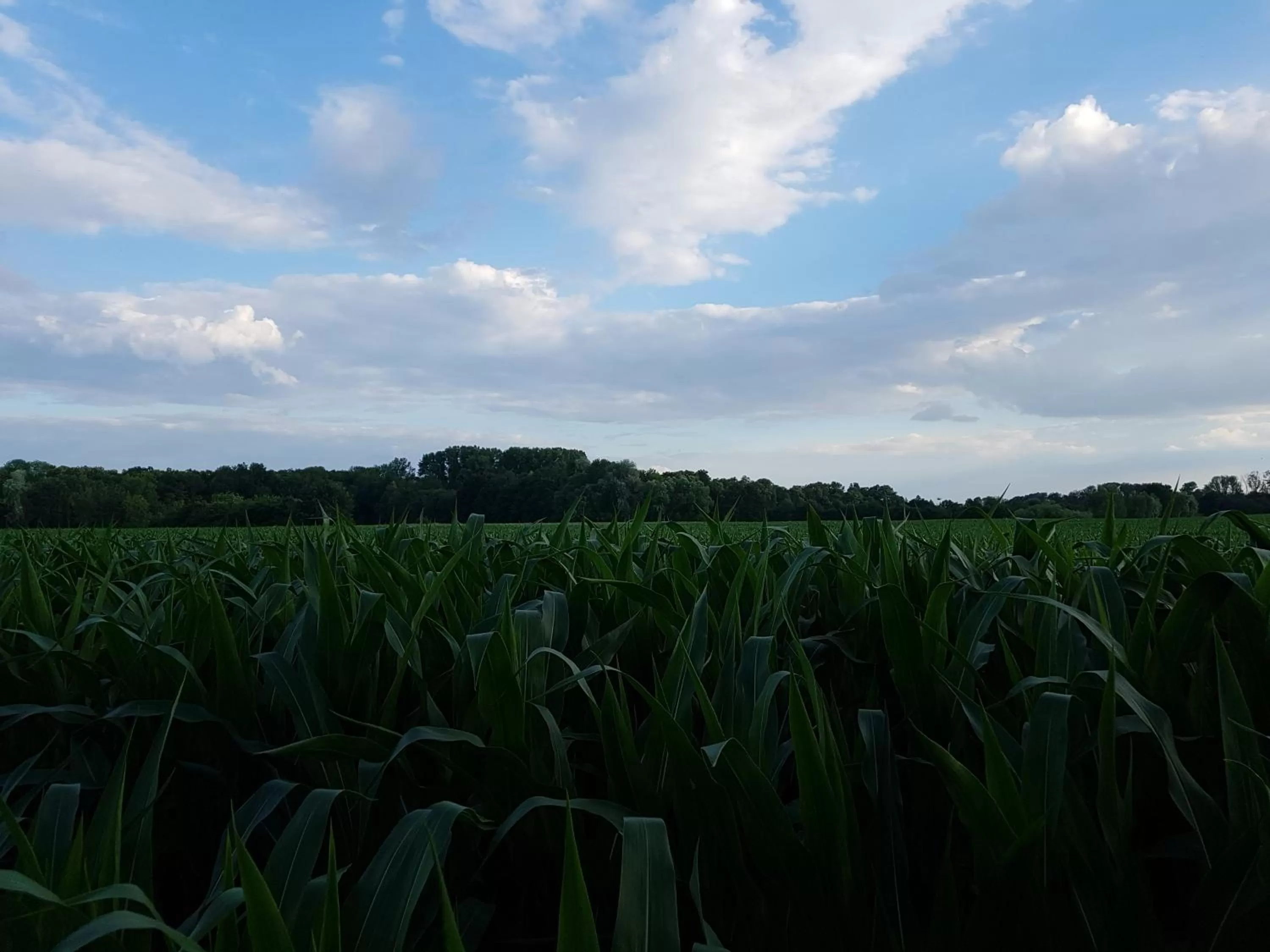 Off site in Kurhotel Anders