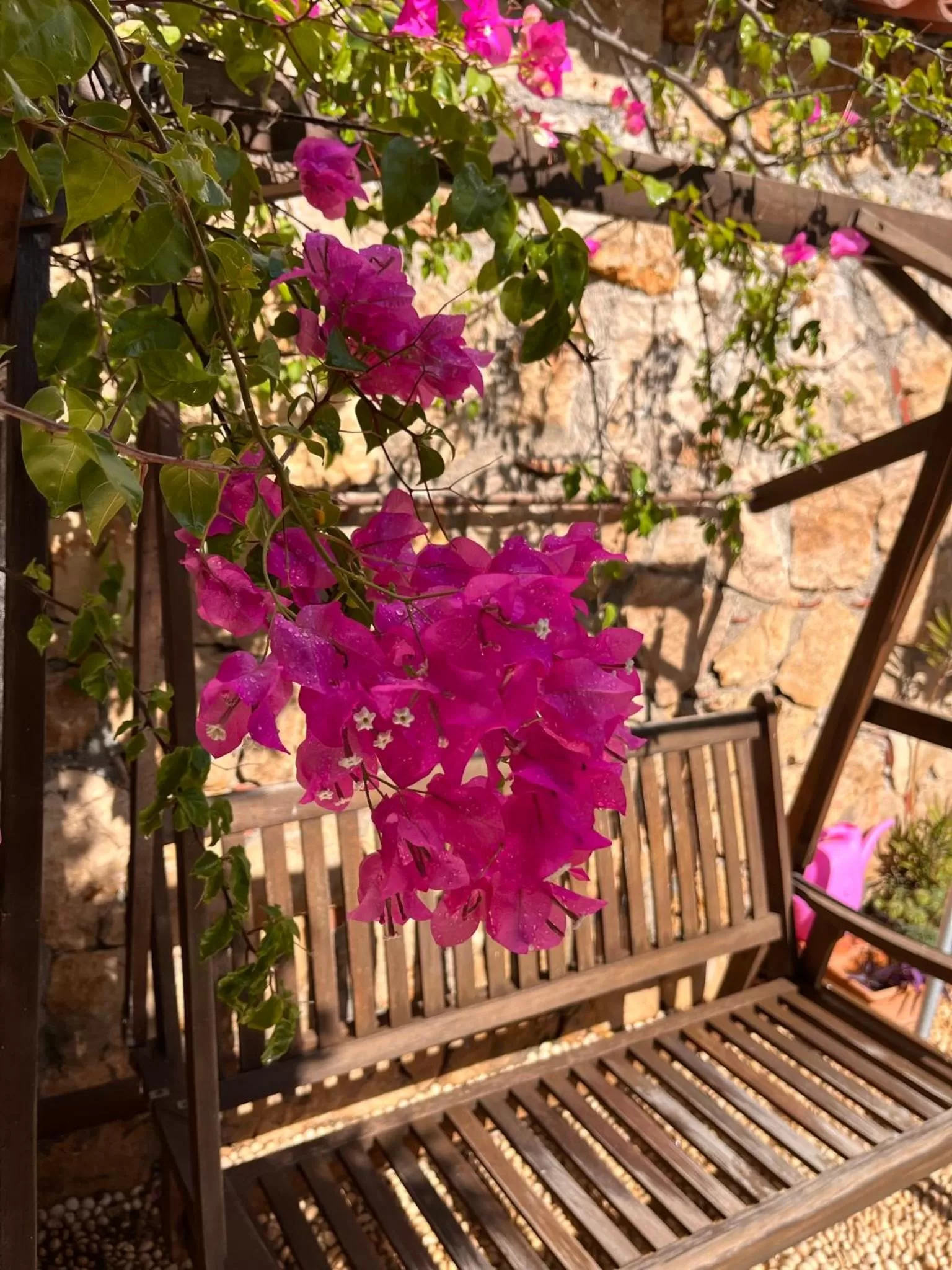 Day in Kaleici Hotel