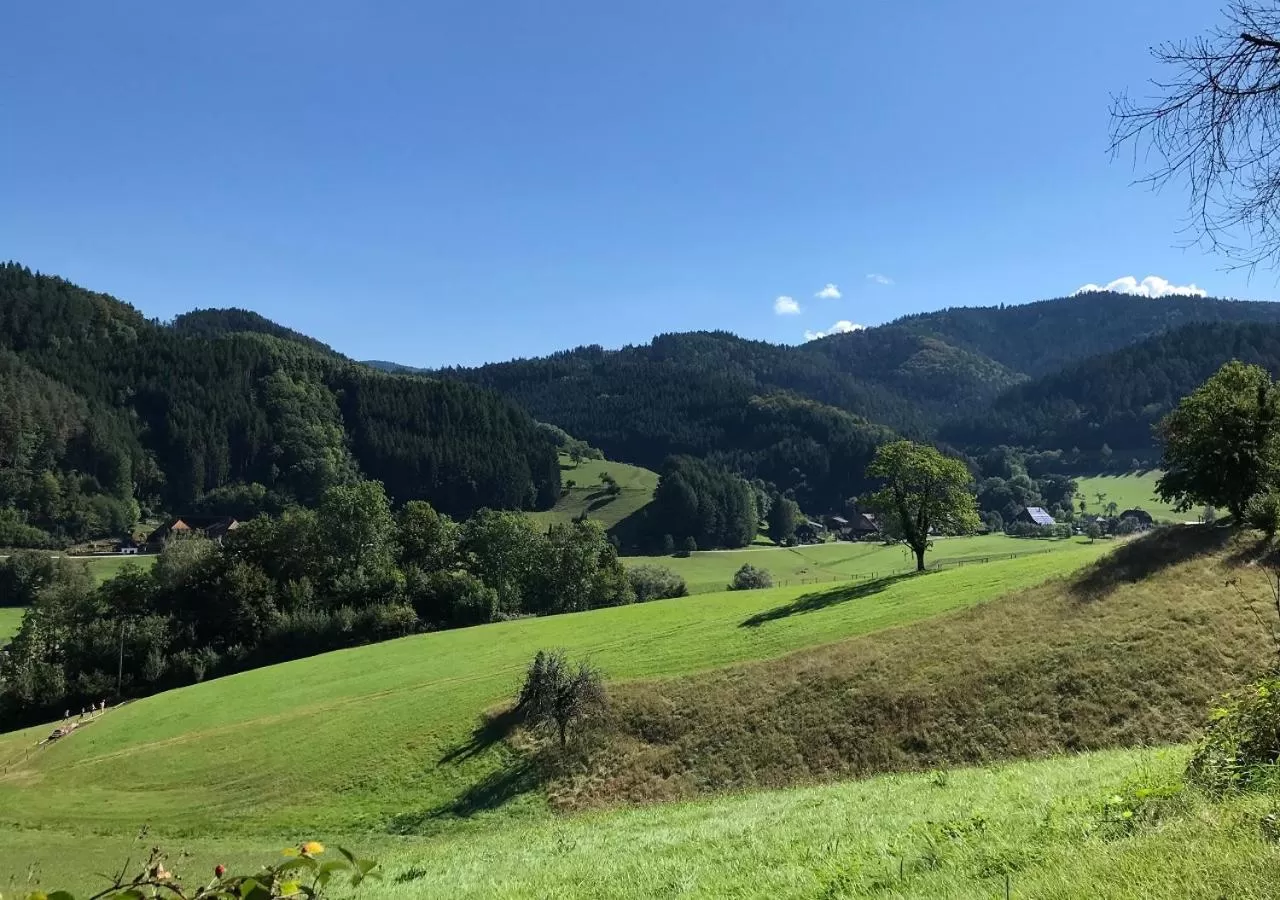 Activities in Wyndham Garden Donaueschingen