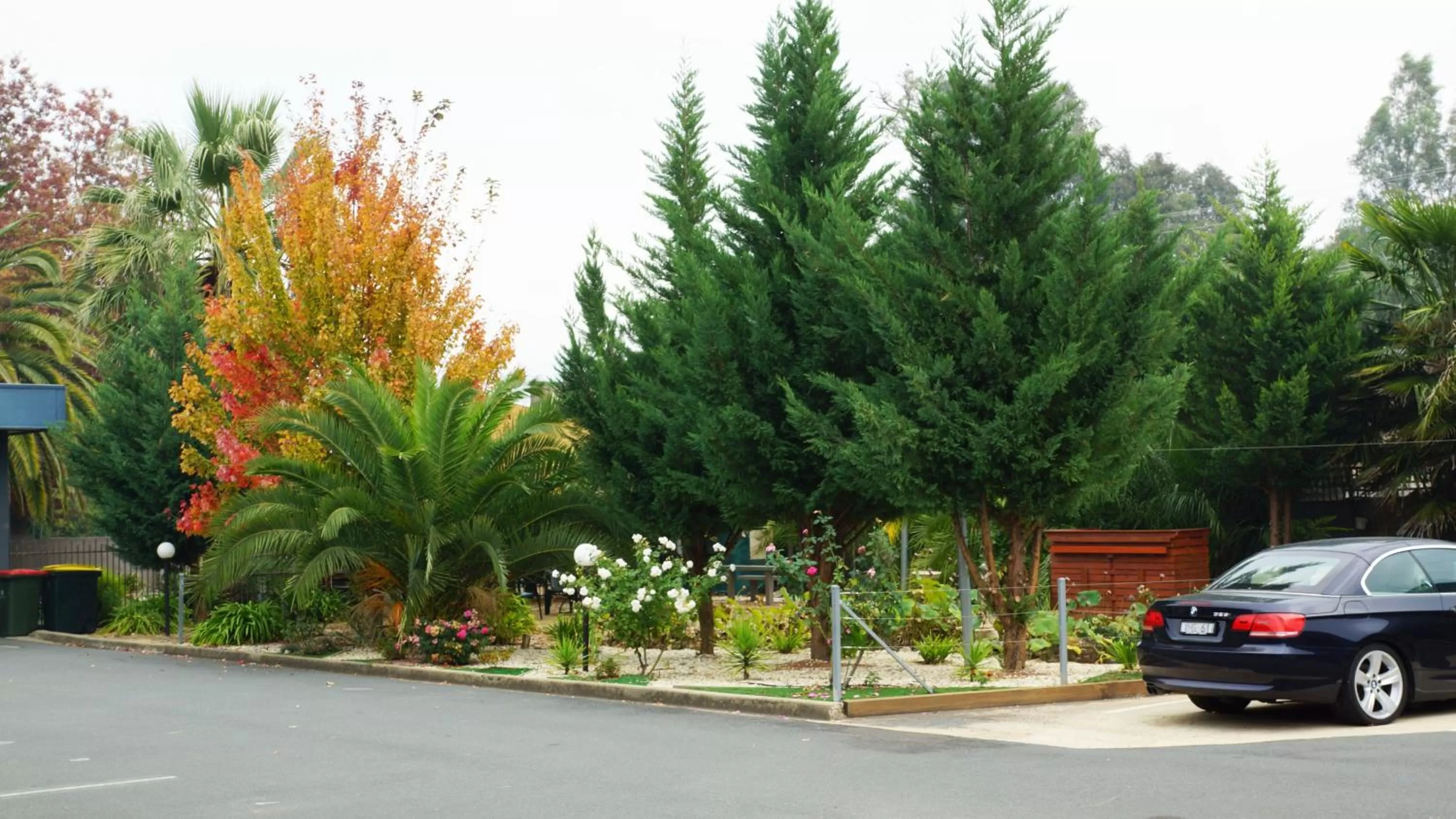 Decorative detail in Golden Leaf Motel