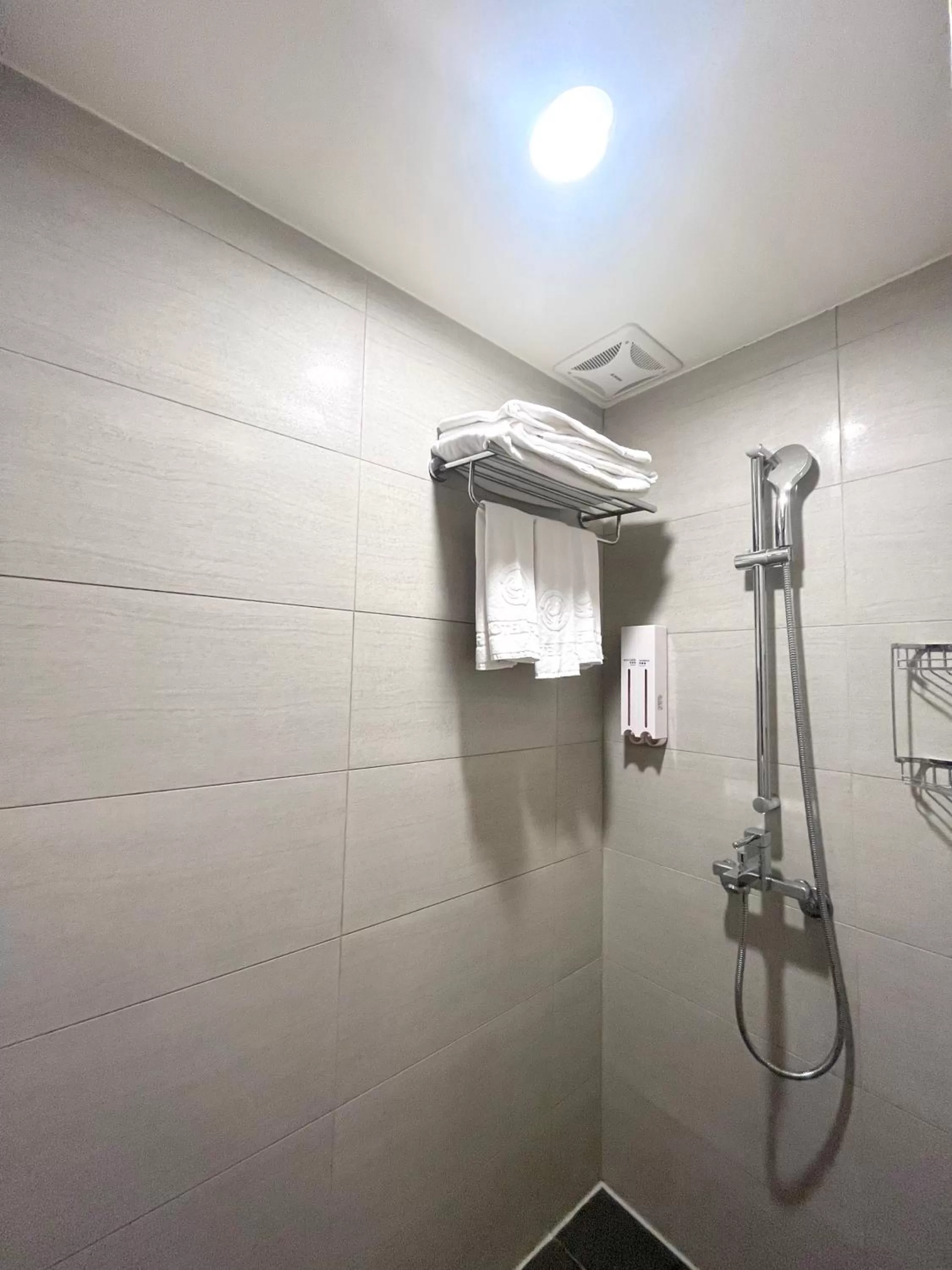 Shower in Hotel Puri