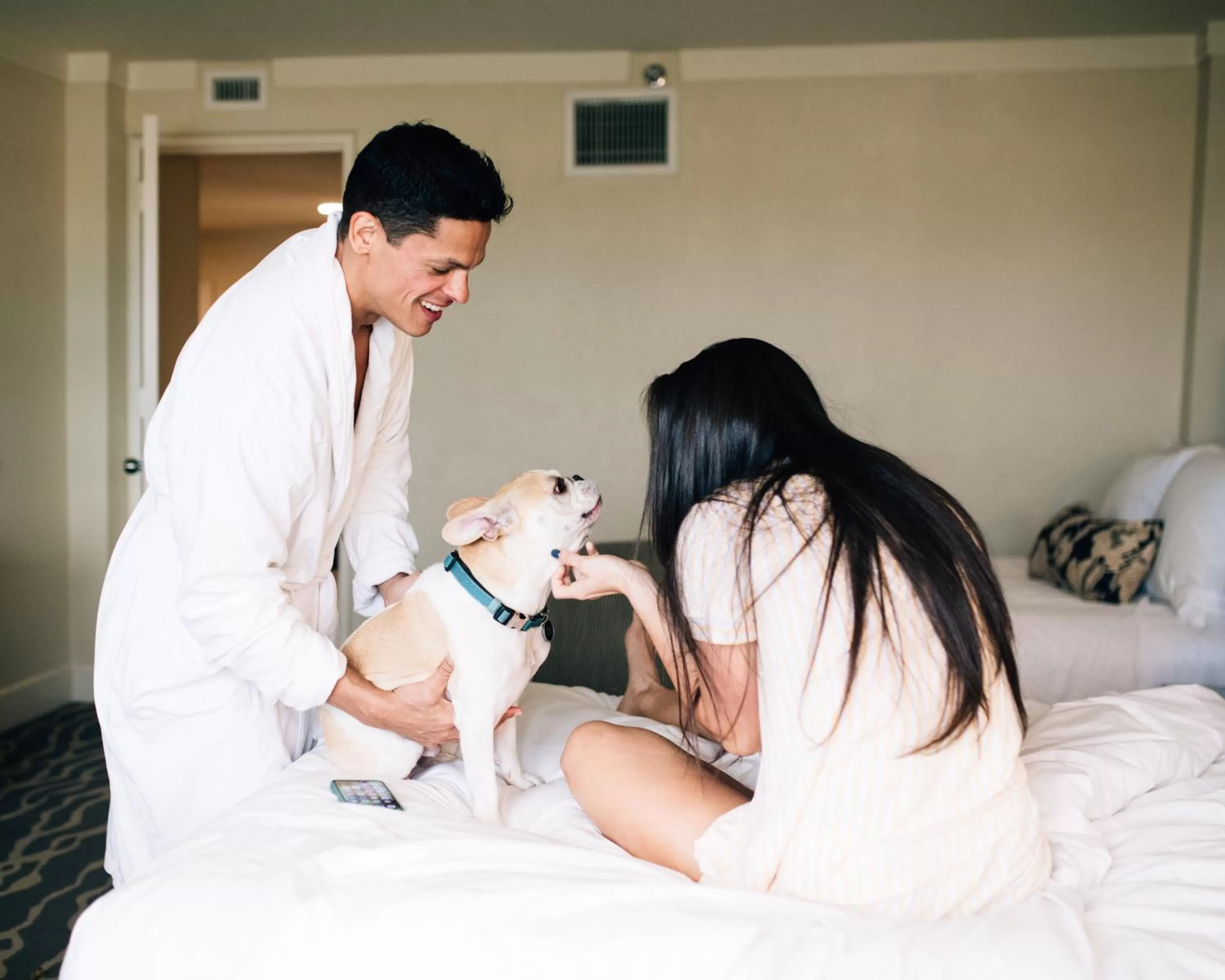 Pets in InterContinental Miami by IHG