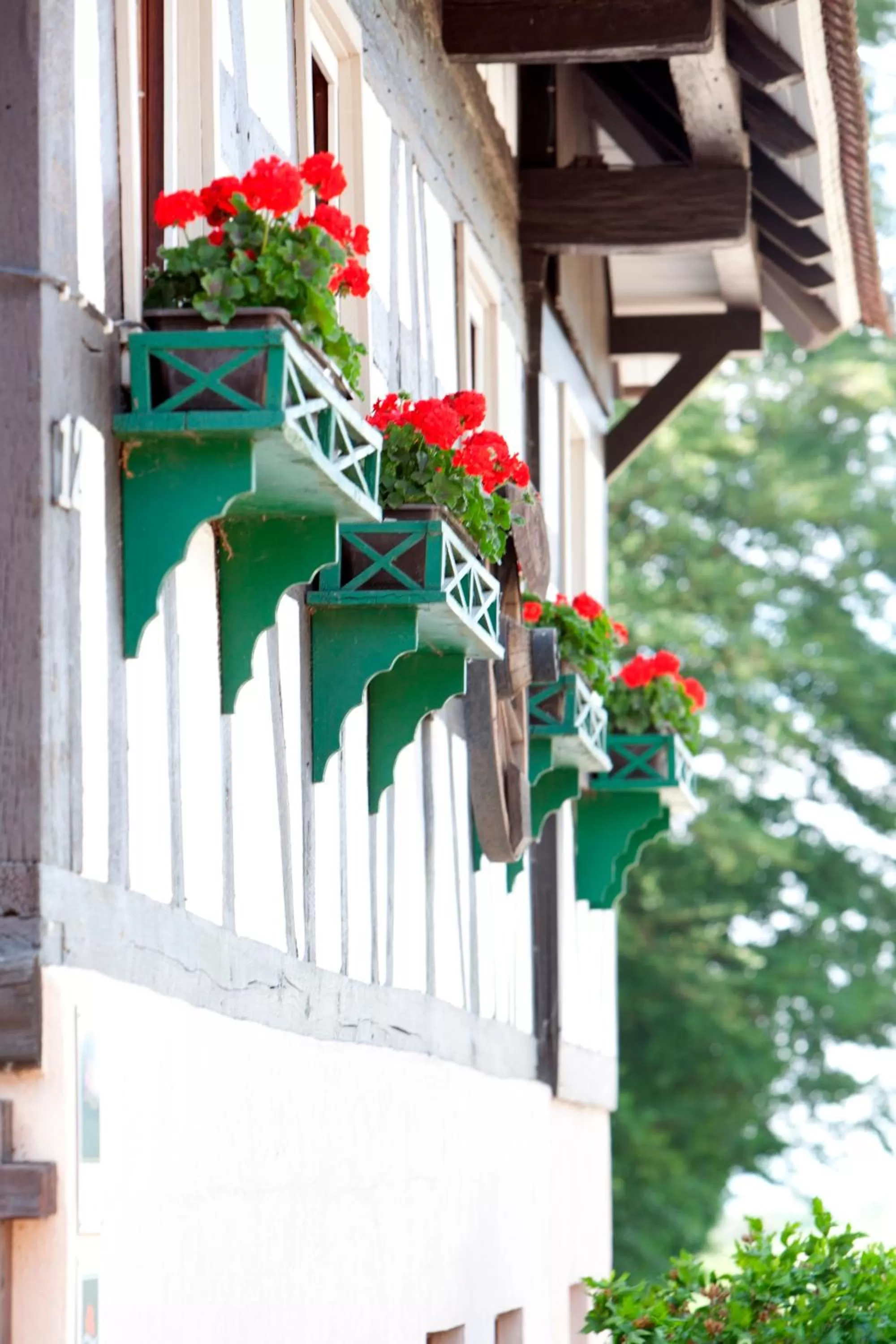 Facade/entrance in Naturhotel Holzwurm