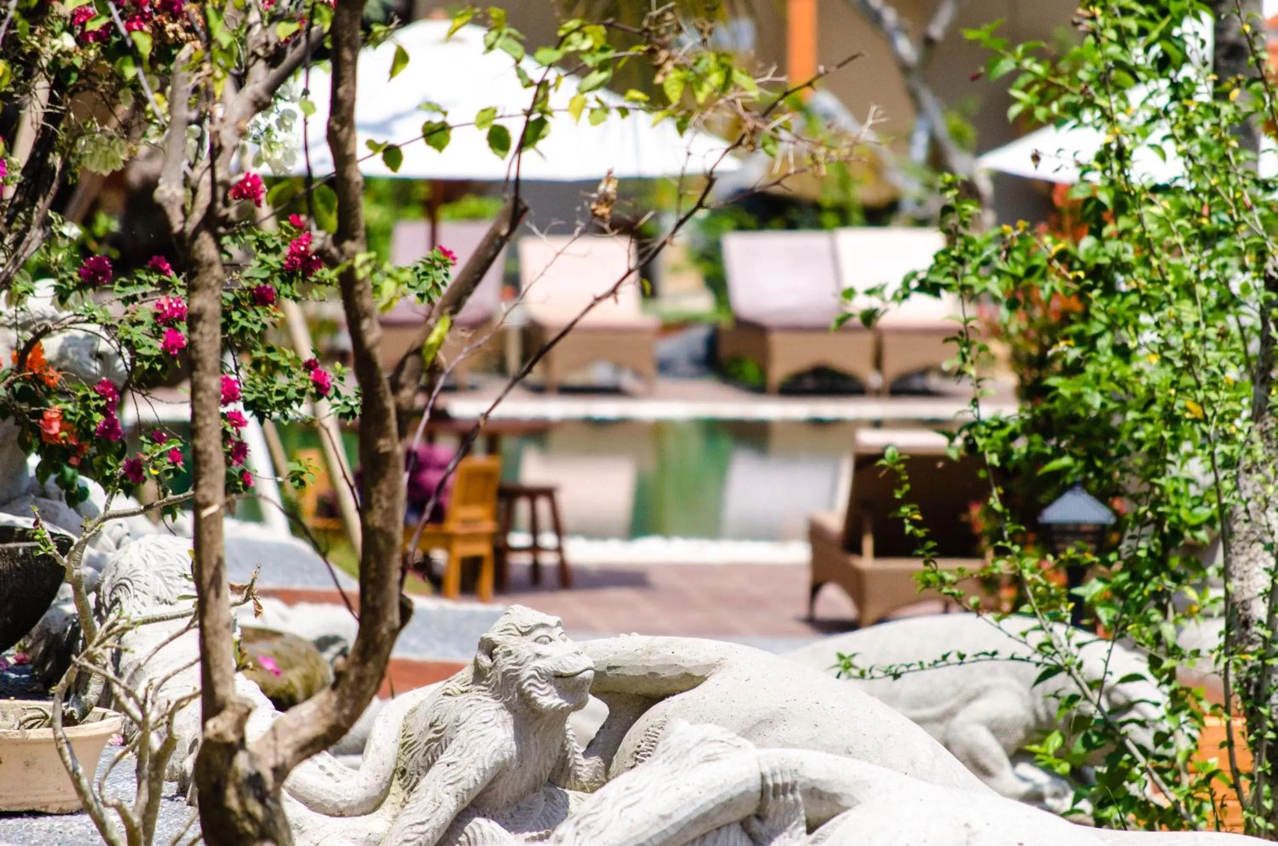 Garden in Green Field Hotel and Restaurant