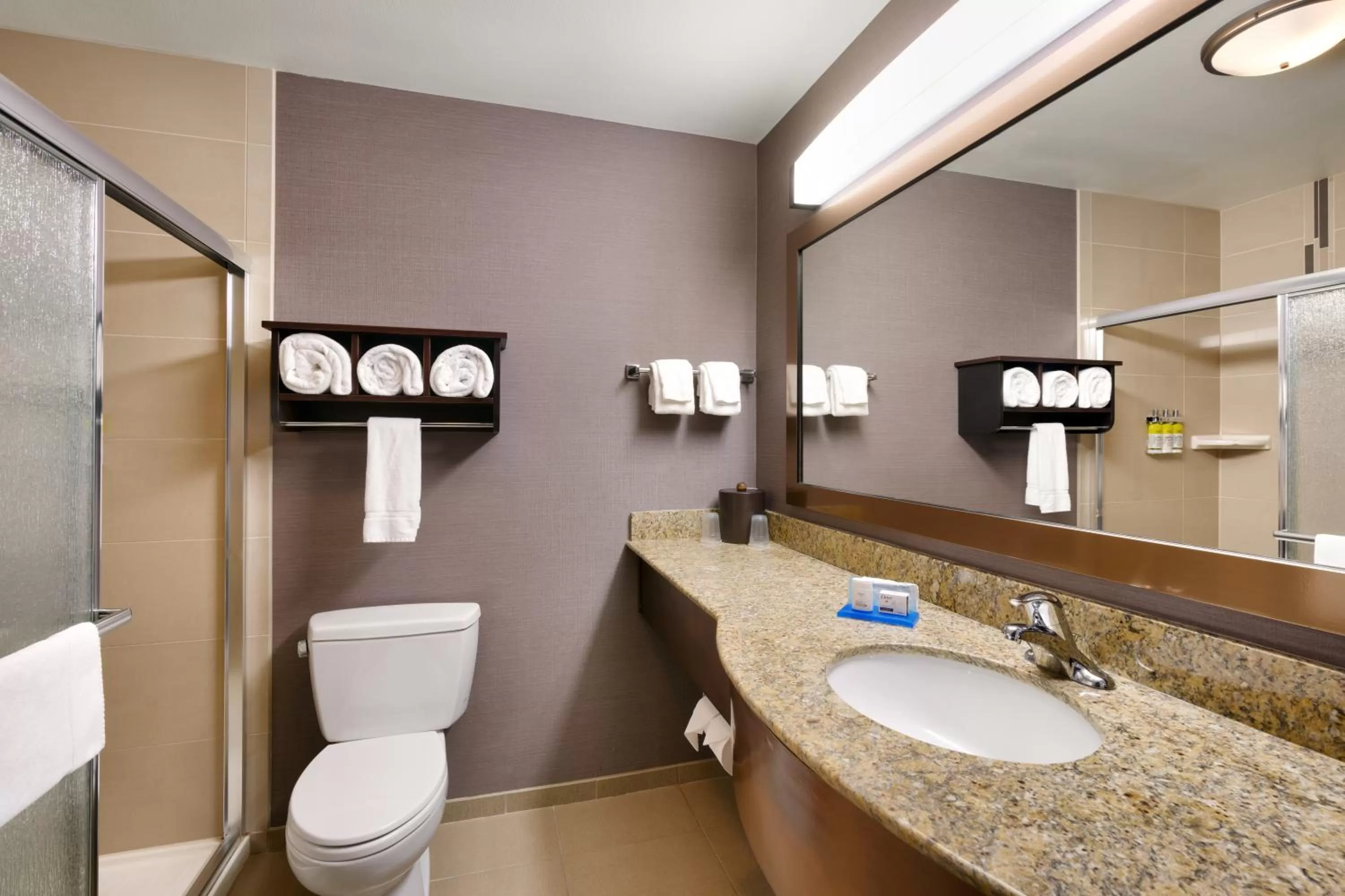 Standard Room in Holiday Inn Express Hotel & Suites Billings, an IHG Hotel