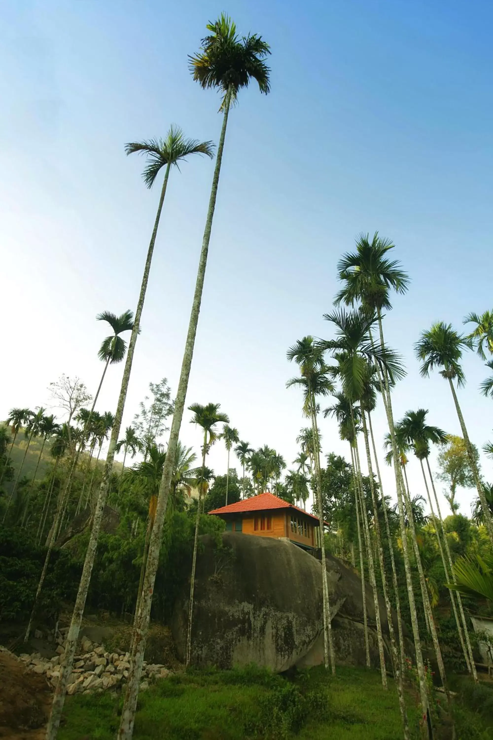 Rock House in Marmalade Springs Resort Wayanad Rock House in Marmalade Springs Resort Wayanad