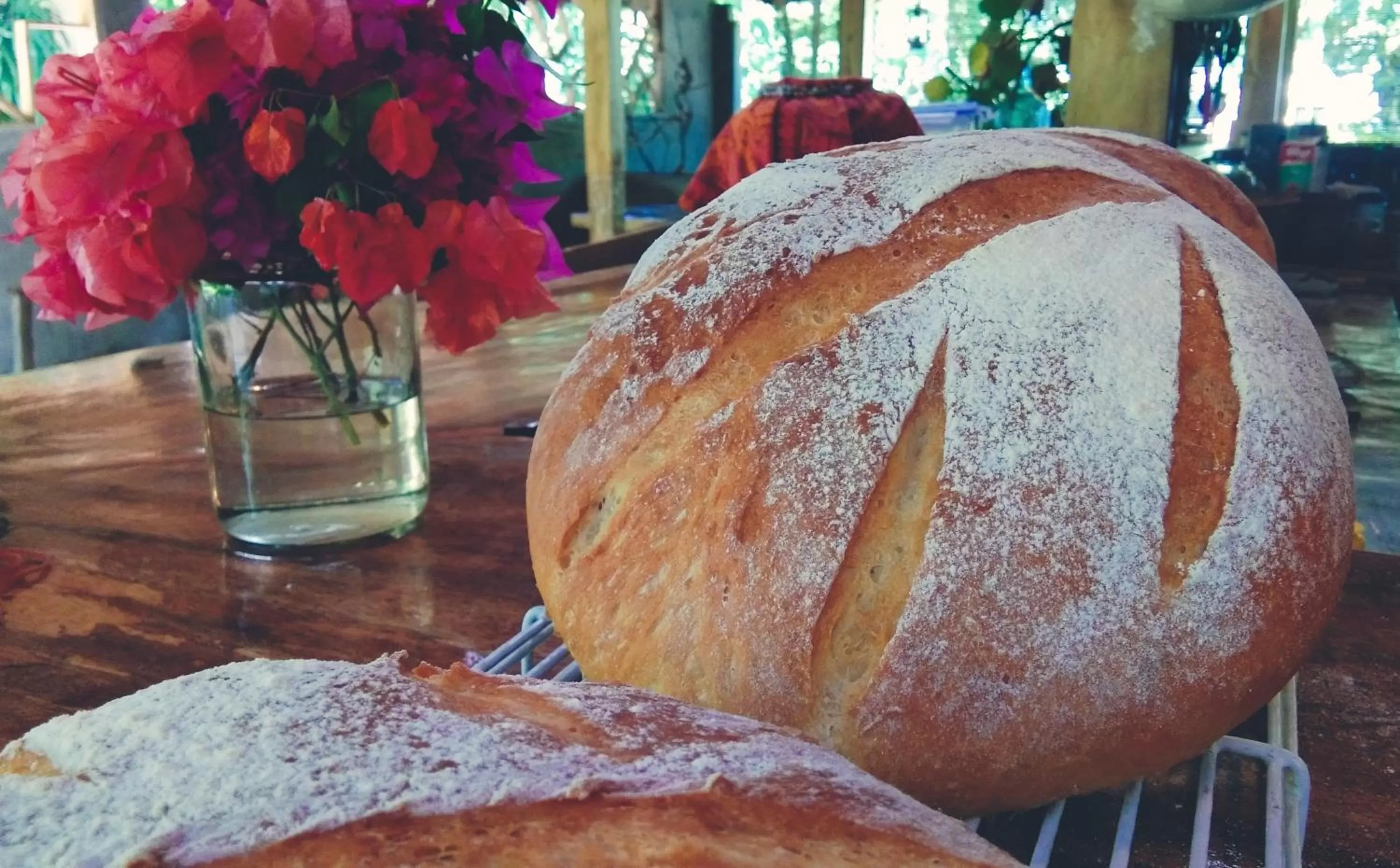 Restaurant/places to eat in Café des Arts Gili Air