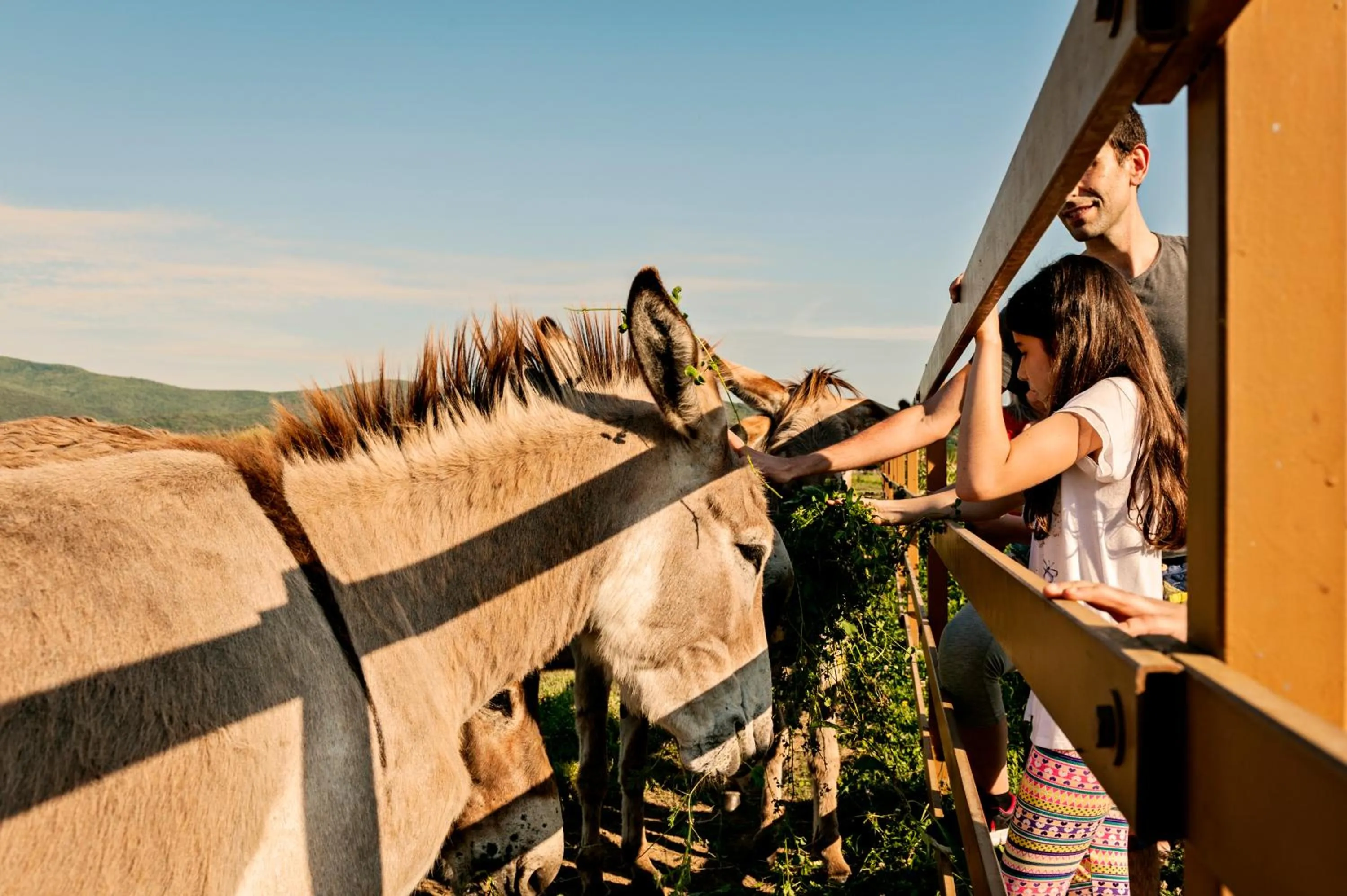 Nearby landmark in Golf Hotel Punta Ala