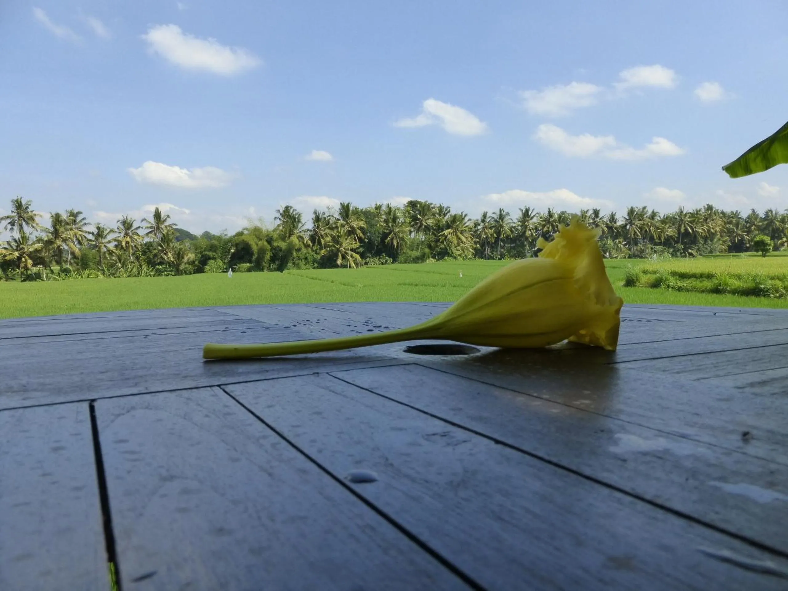 Balcony/Terrace in Bali Harmony Villa