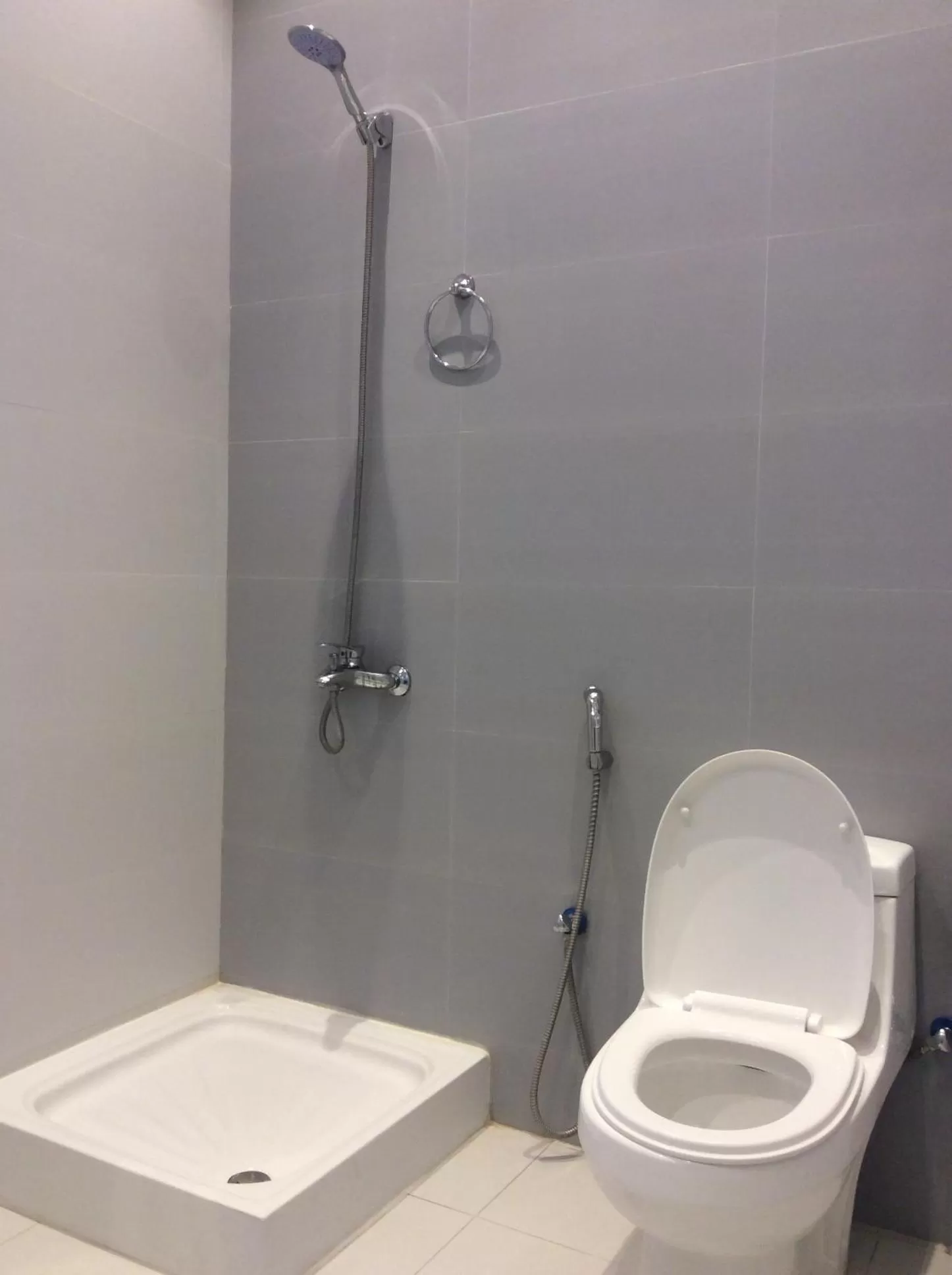 Shower in Admire Apart' Hotel