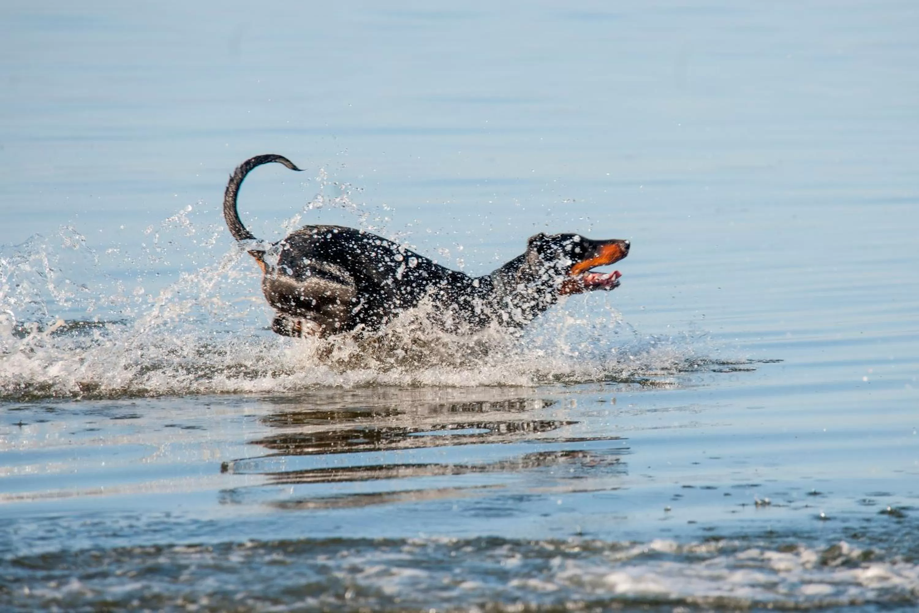 Beach in Panoramic Blue B&B