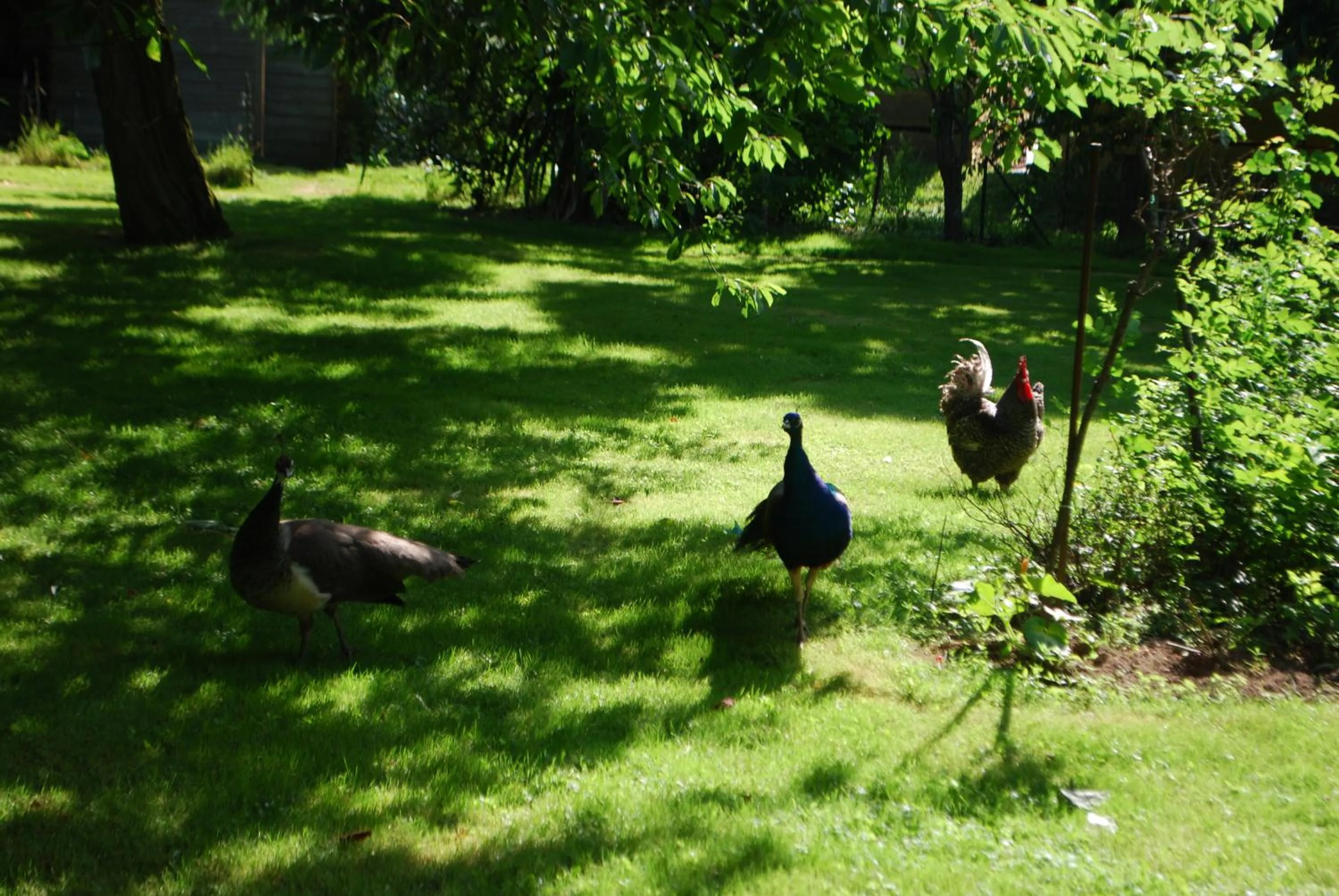 Le Clos Champel Hôtel Restaurant Logis